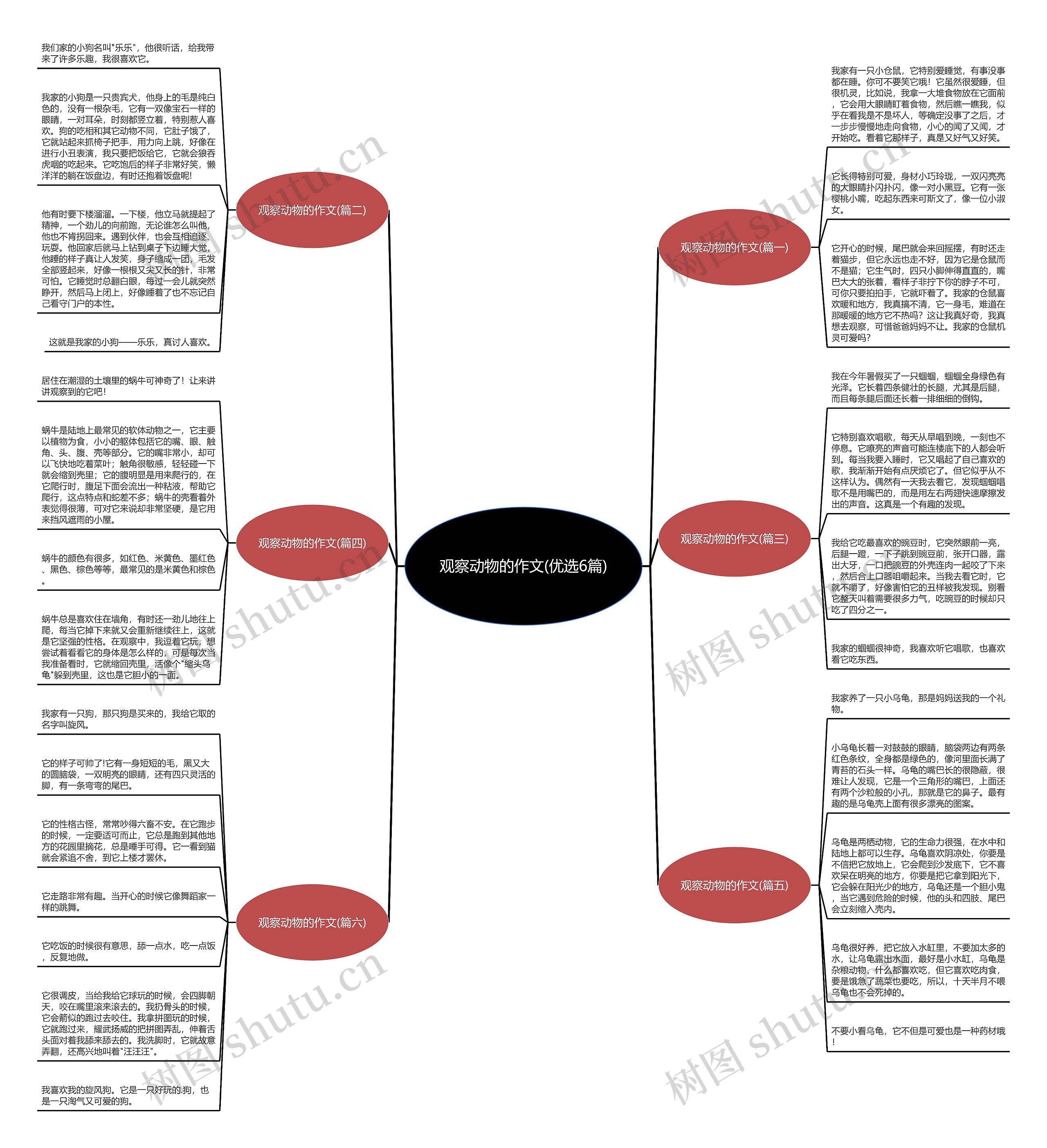观察动物的作文(优选6篇)思维导图