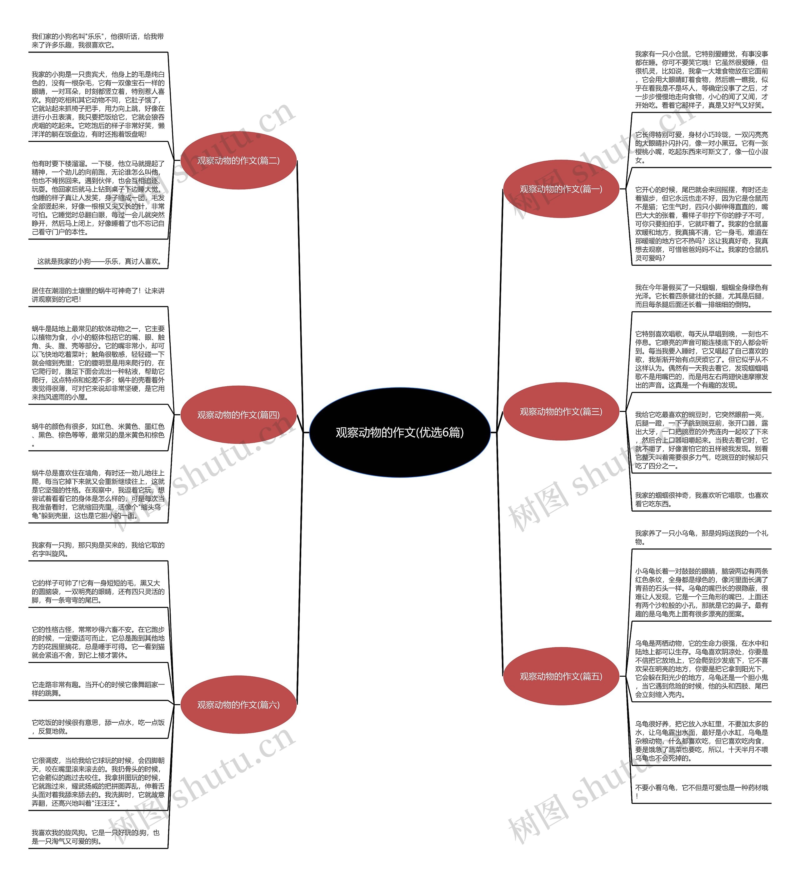 观察动物的作文(优选6篇) 观察动物的作文(优选6篇)