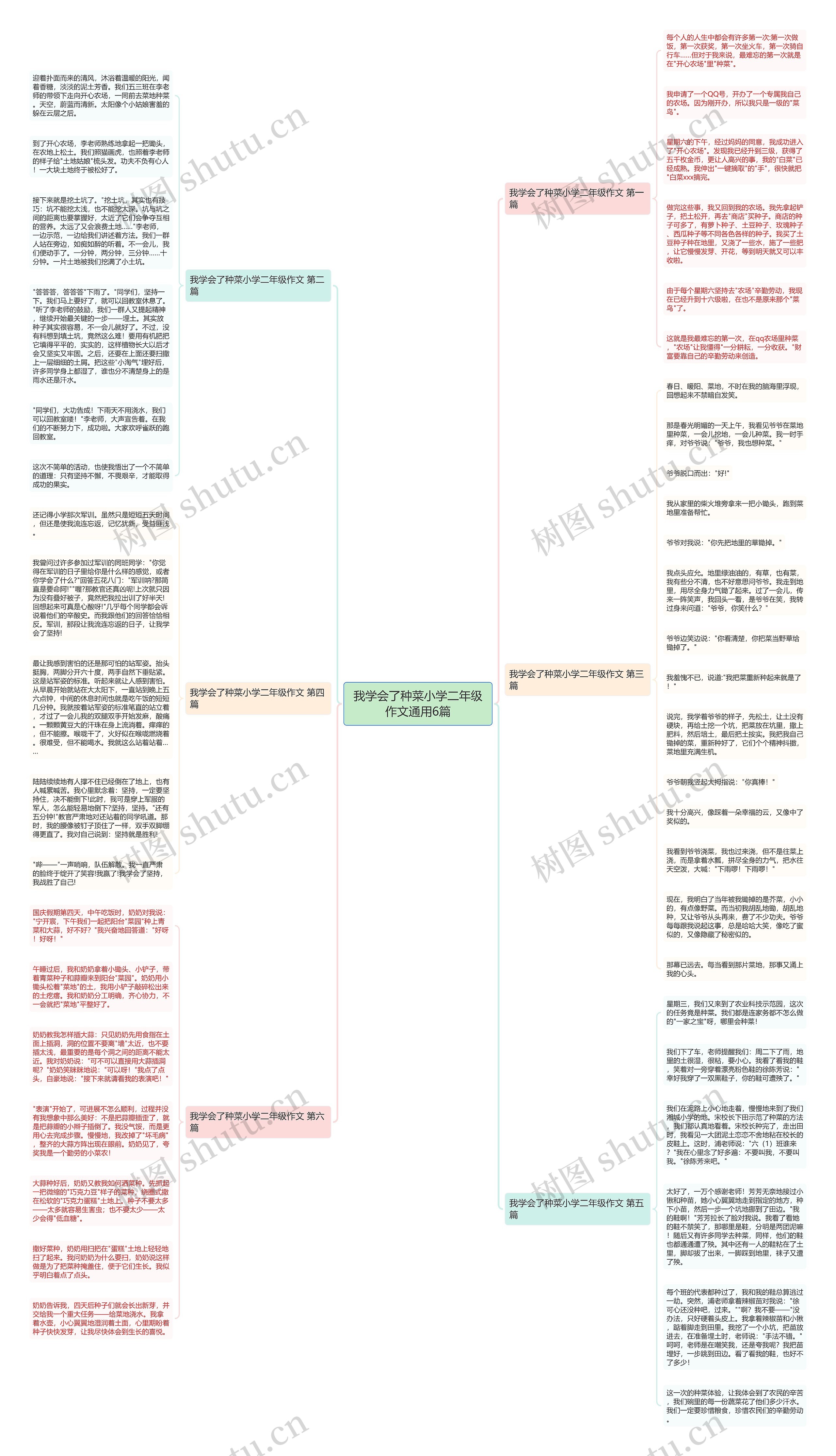 我学会了种菜小学二年级作文通用6篇思维导图