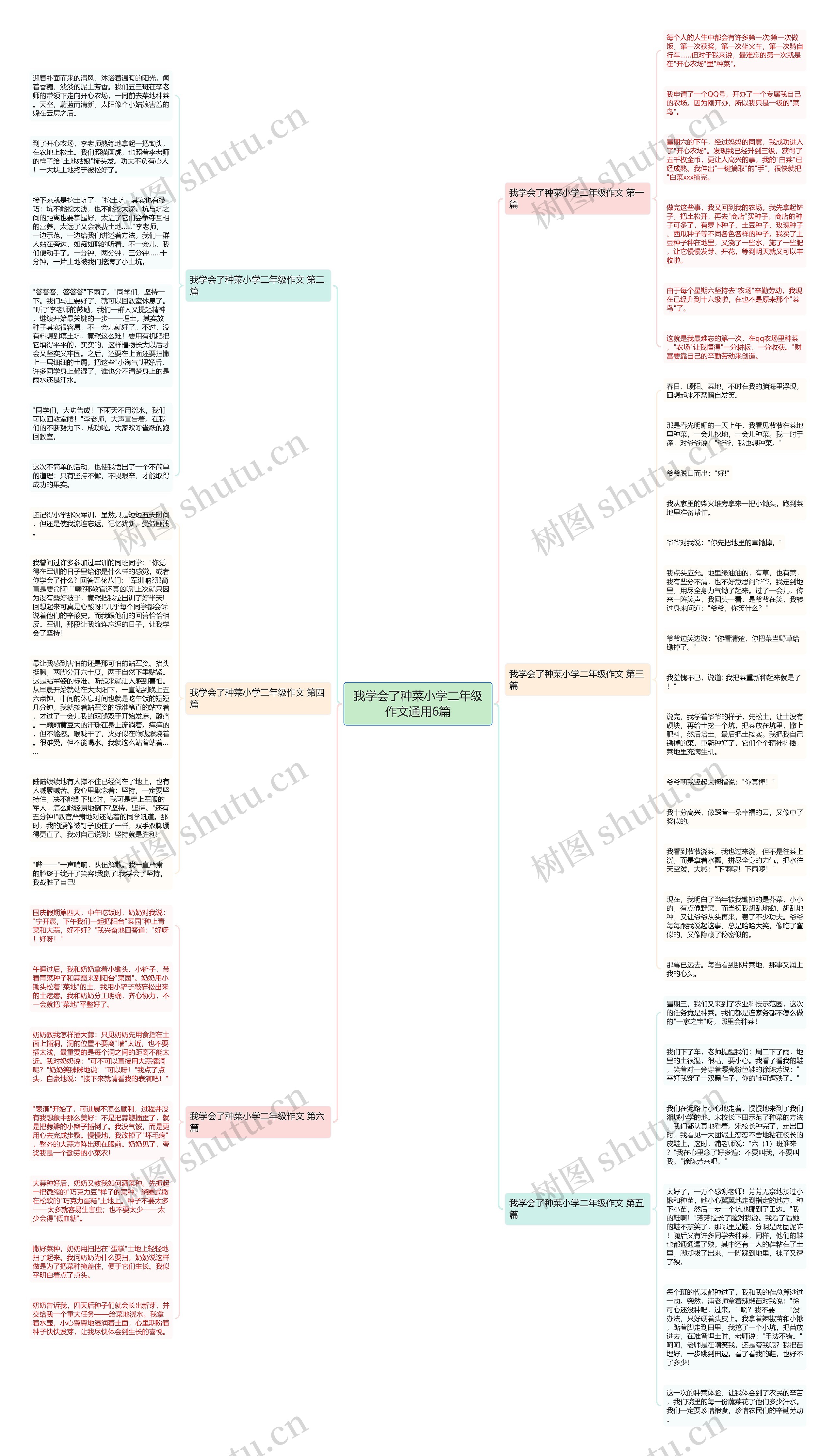 我学会了种菜小学二年级作文通用6篇 我学会了种菜小学二年级作文通用6篇