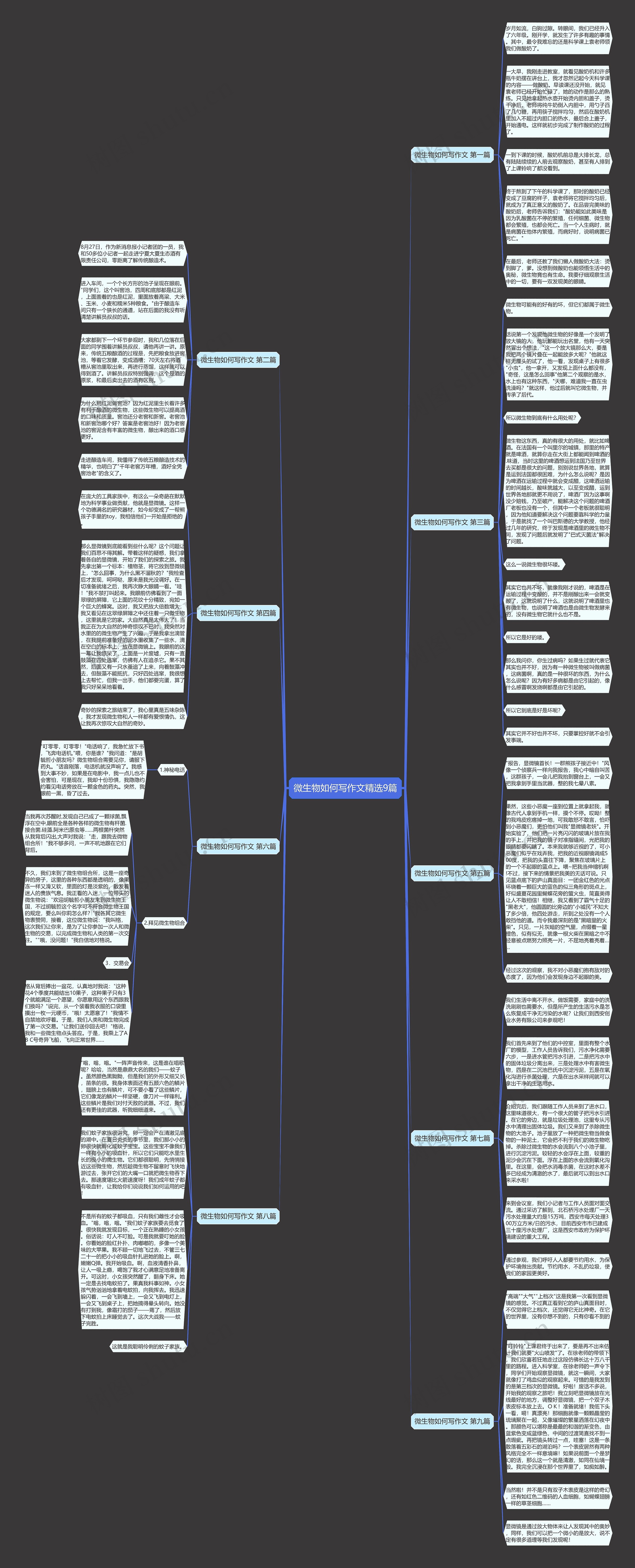 微生物如何写作文精选9篇思维导图