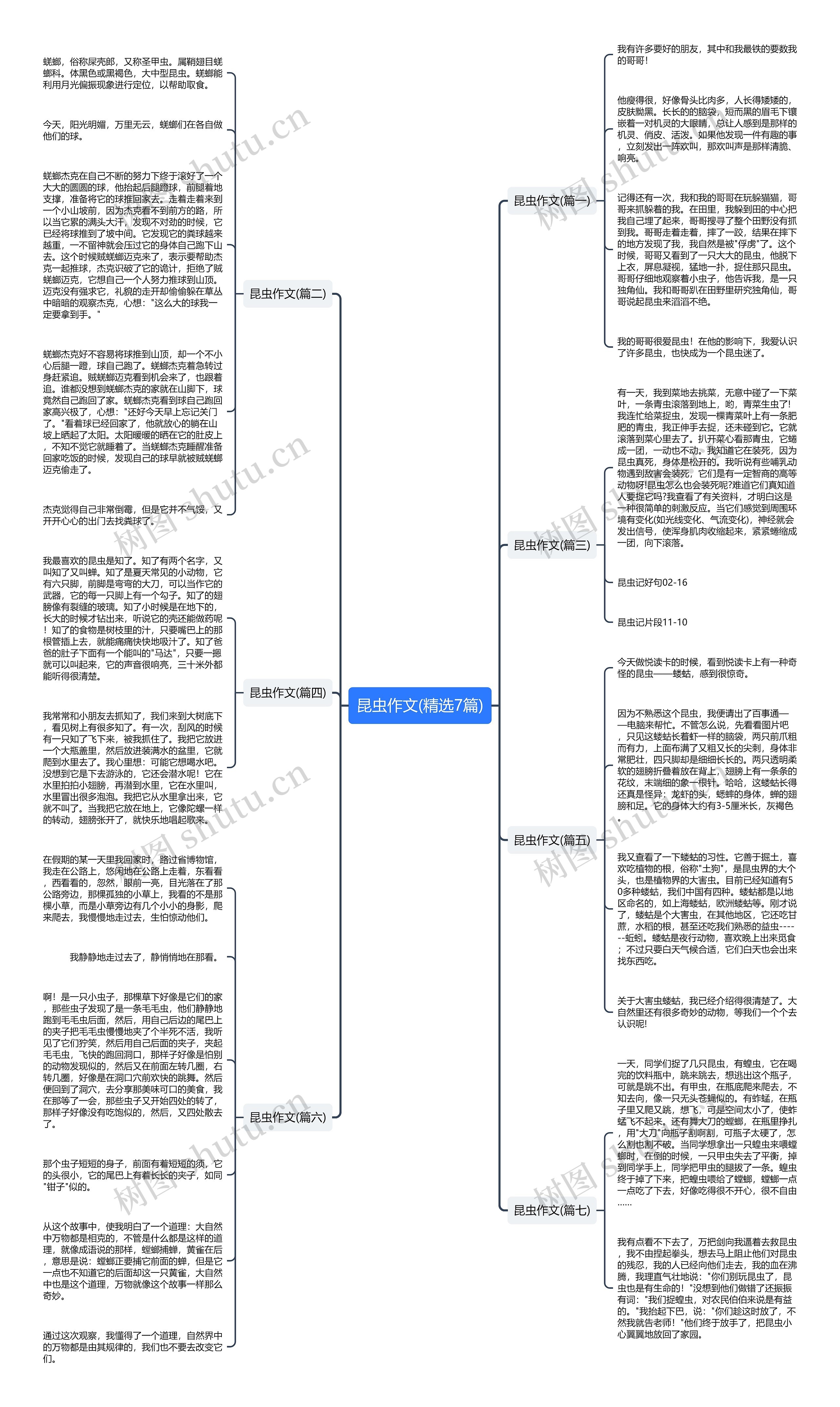 昆虫作文(精选7篇)思维导图