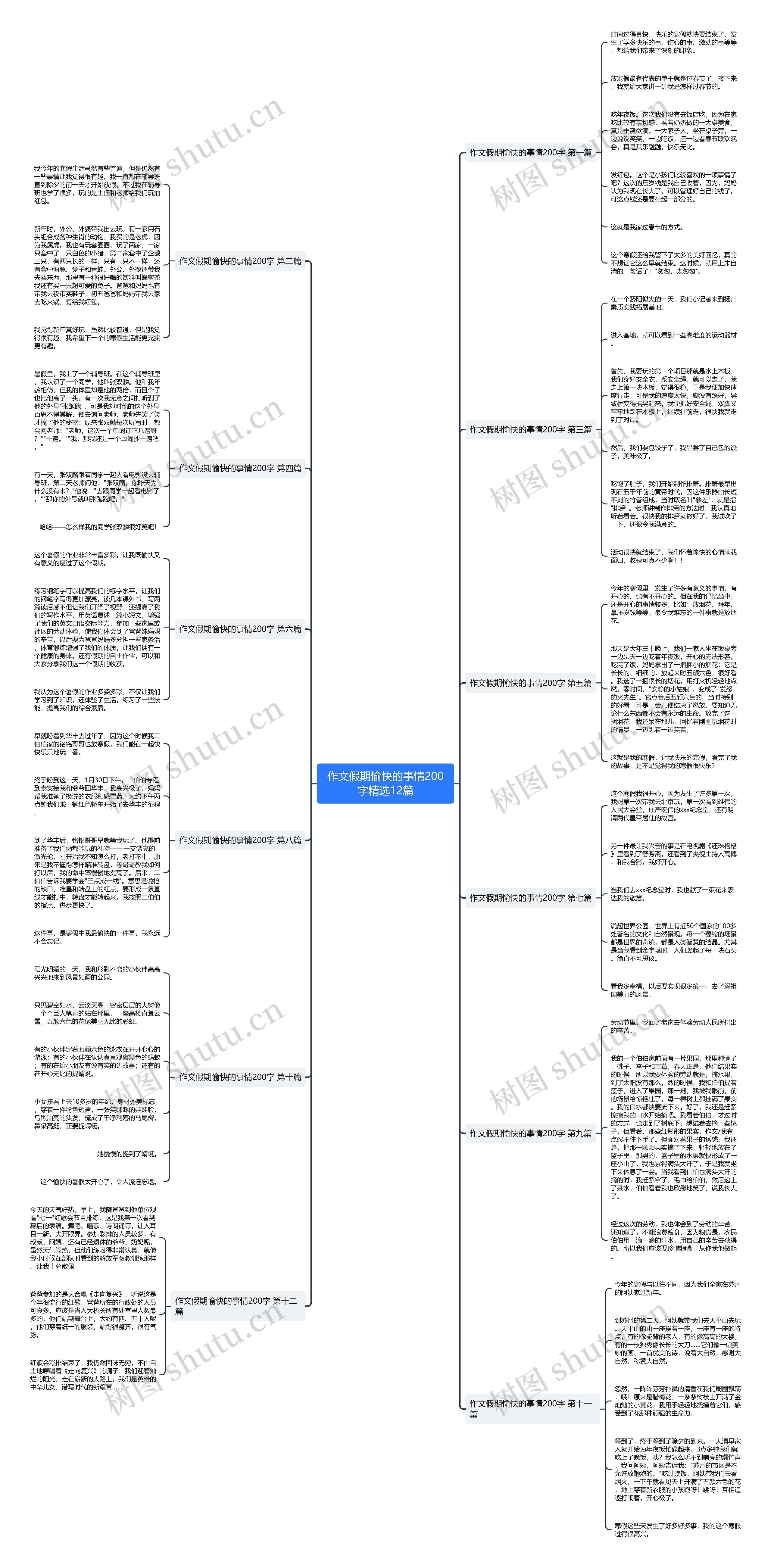 作文假期愉快的事情200字精选12篇思维导图
