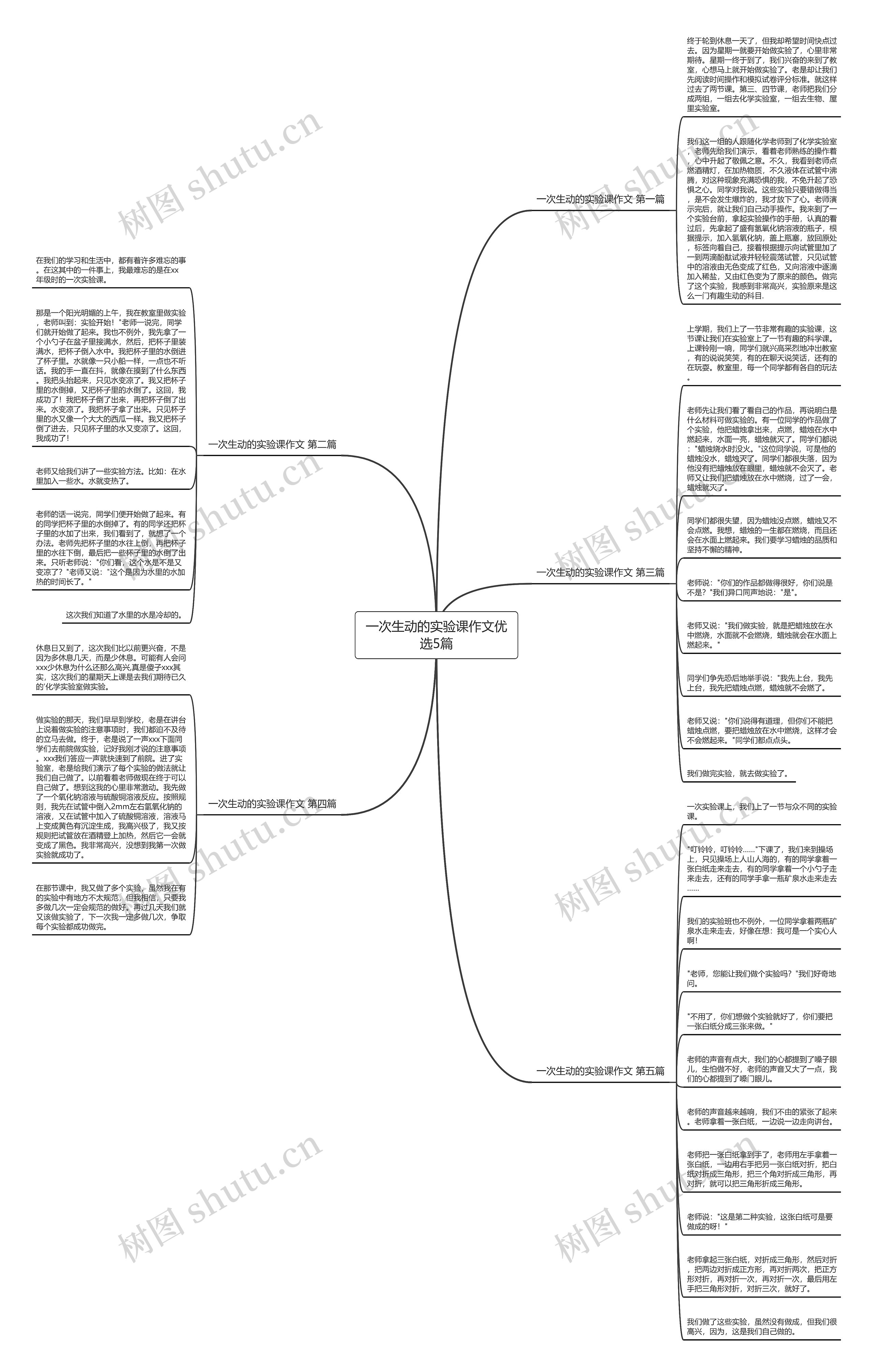 一次生动的实验课作文优选5篇思维导图