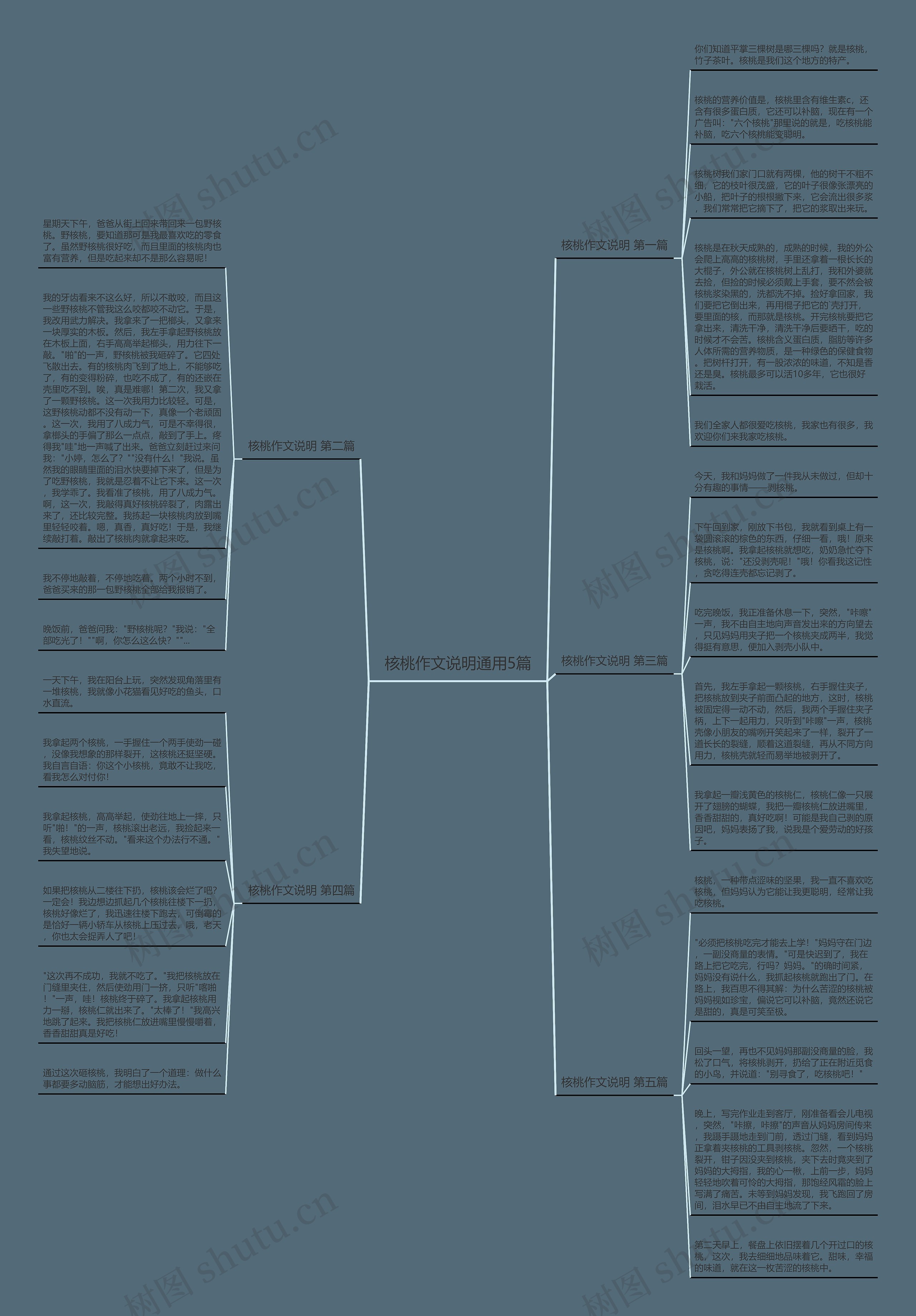 核桃作文说明通用5篇思维导图