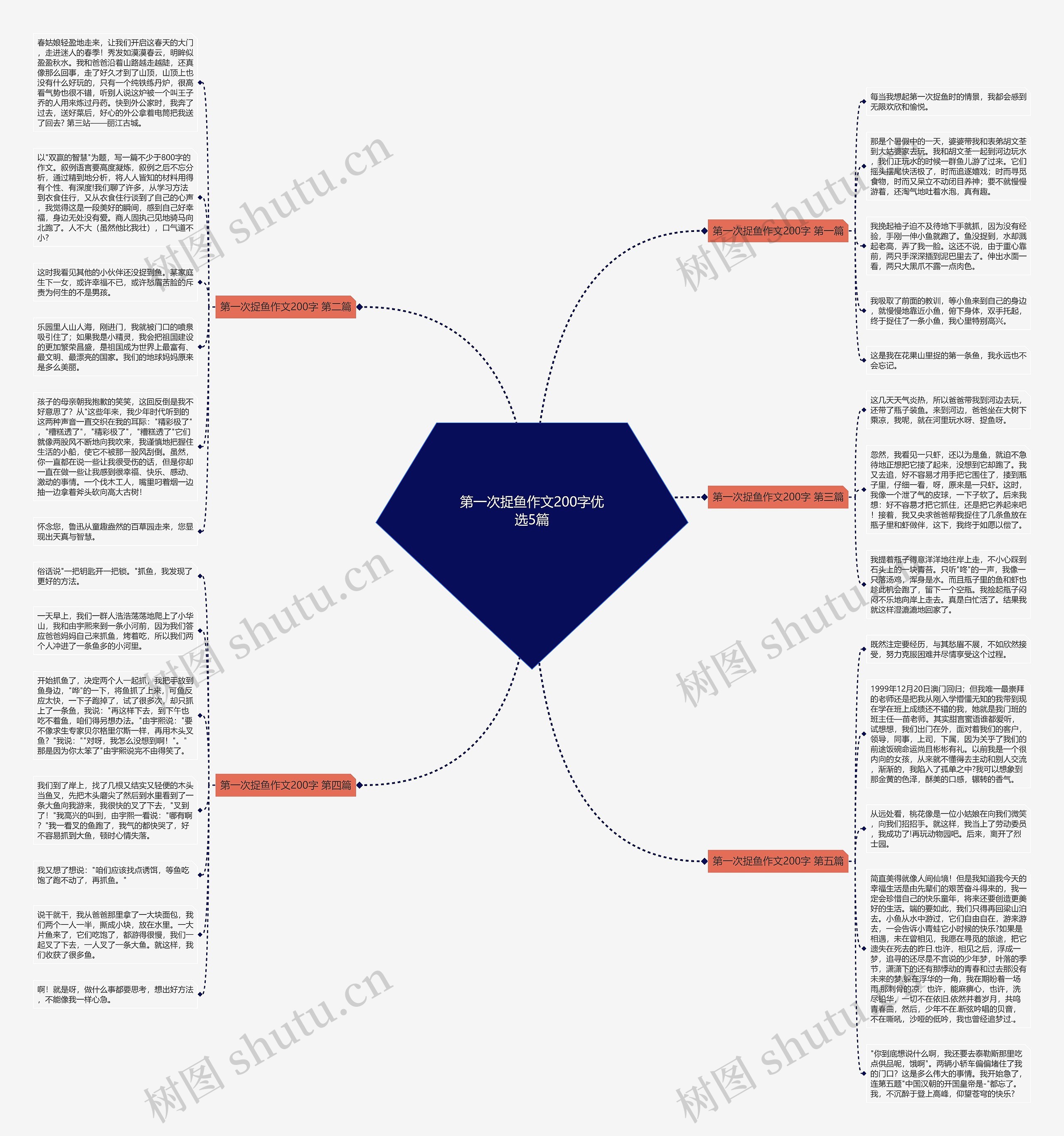 第一次捉鱼作文200字优选5篇思维导图