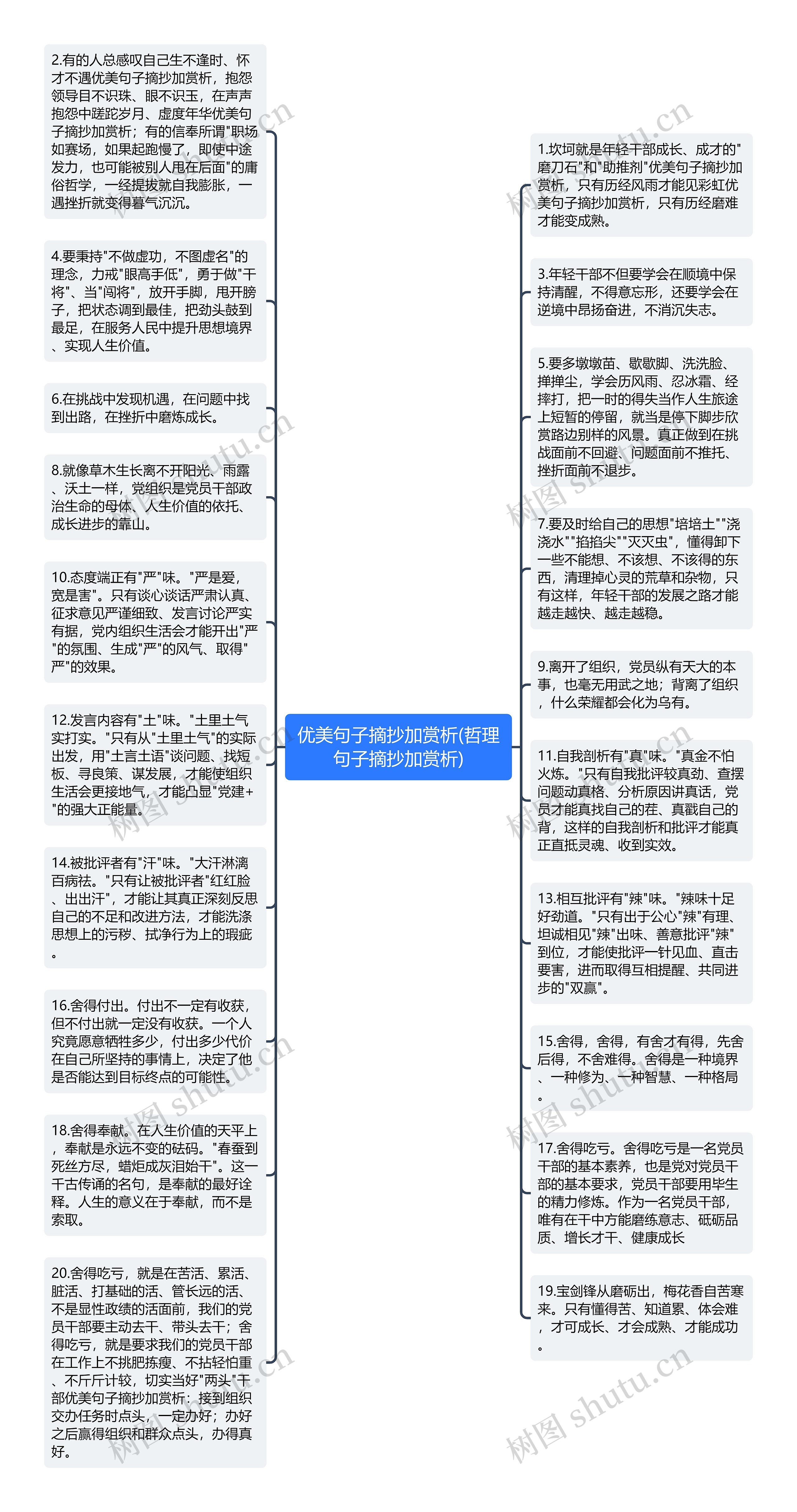 优美句子摘抄加赏析(哲理句子摘抄加赏析)思维导图