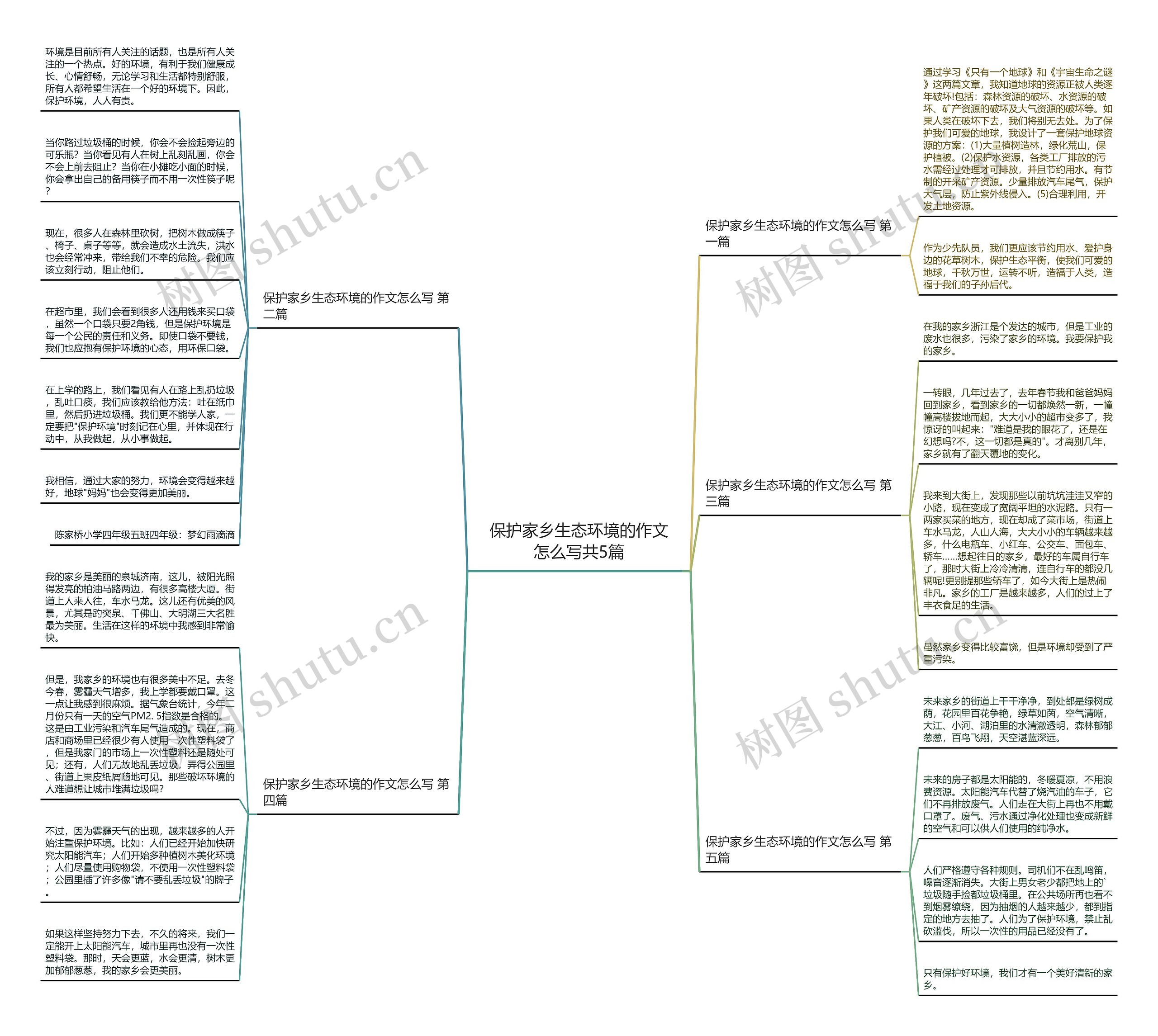 保护家乡生态环境的作文怎么写共5篇思维导图