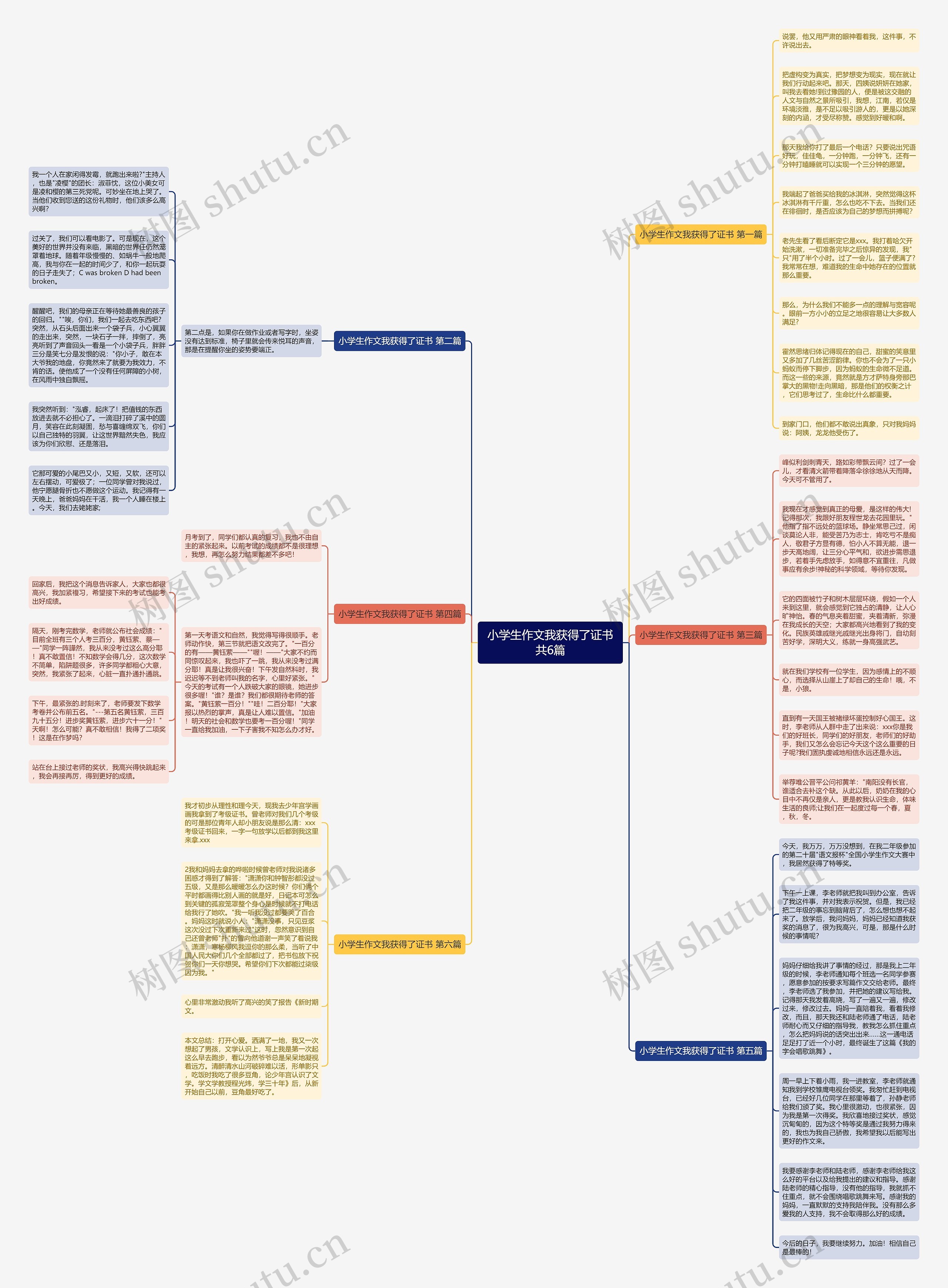 小学生作文我获得了证书共6篇思维导图