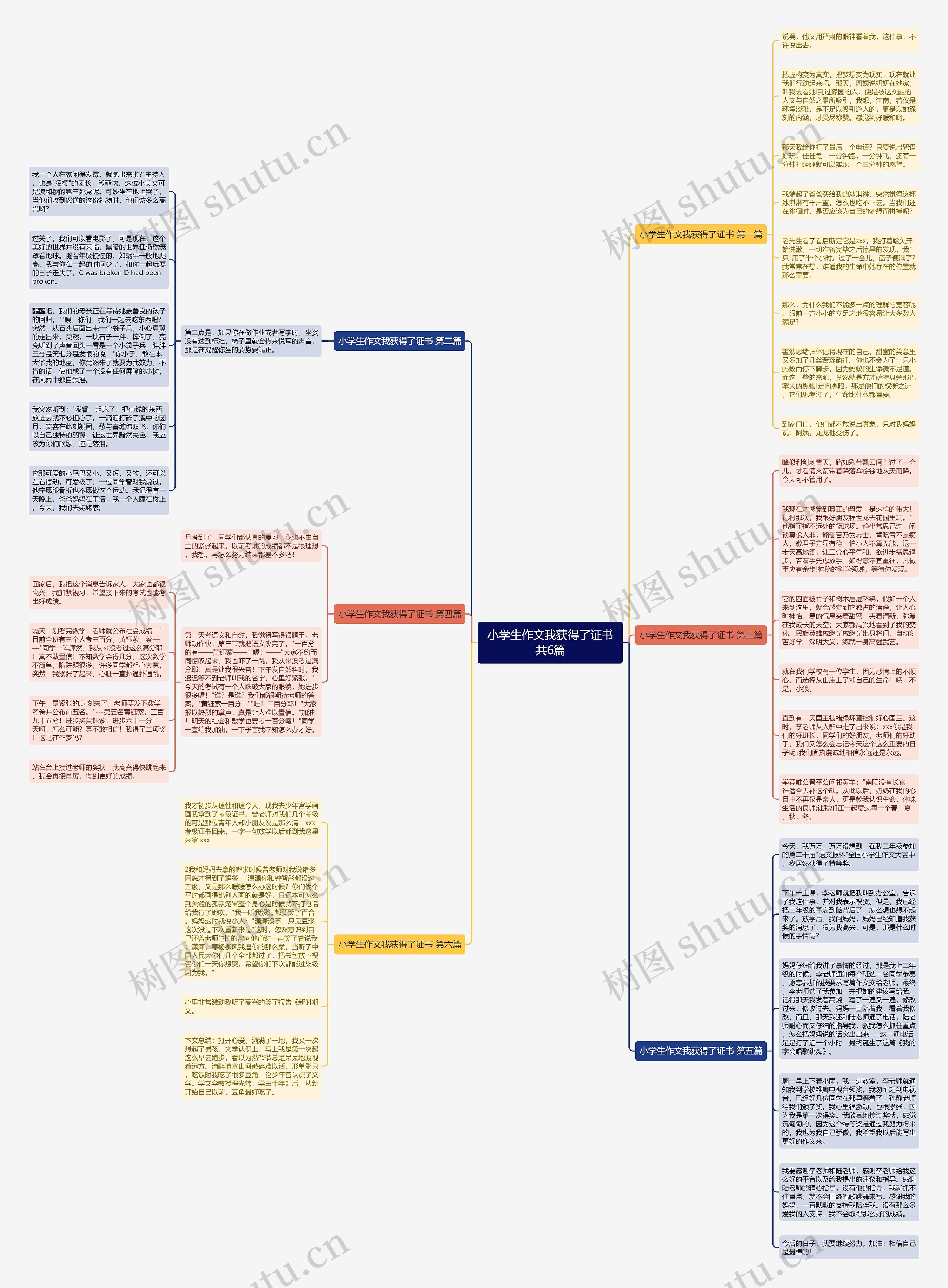 小学生作文我获得了证书共6篇 小学生作文我获得了证书共6篇