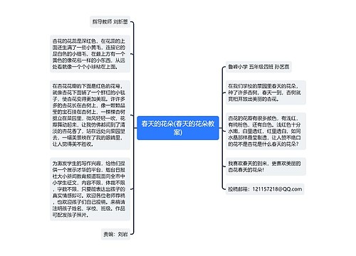 春天的花朵(春天的花朵教案)