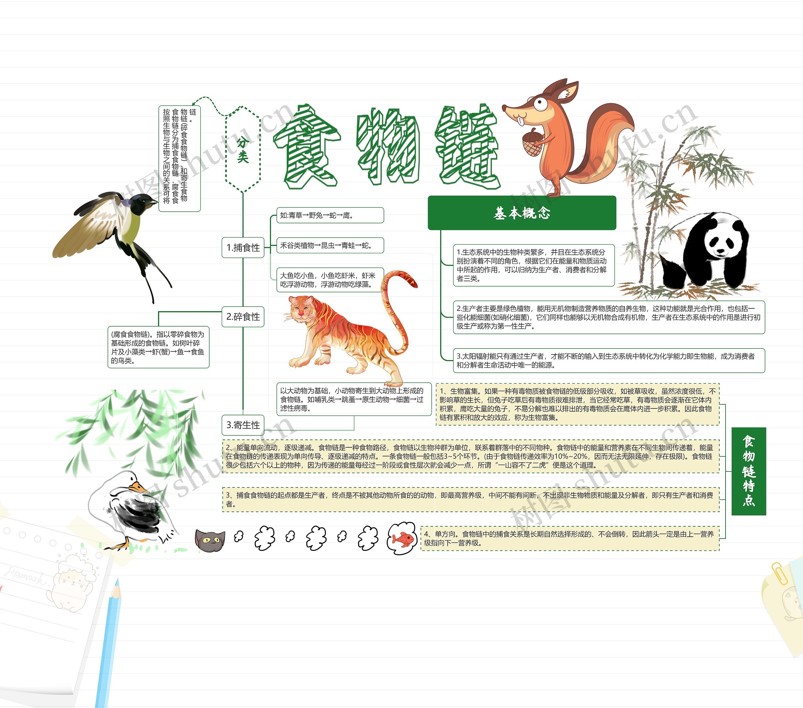 食物链思维导图