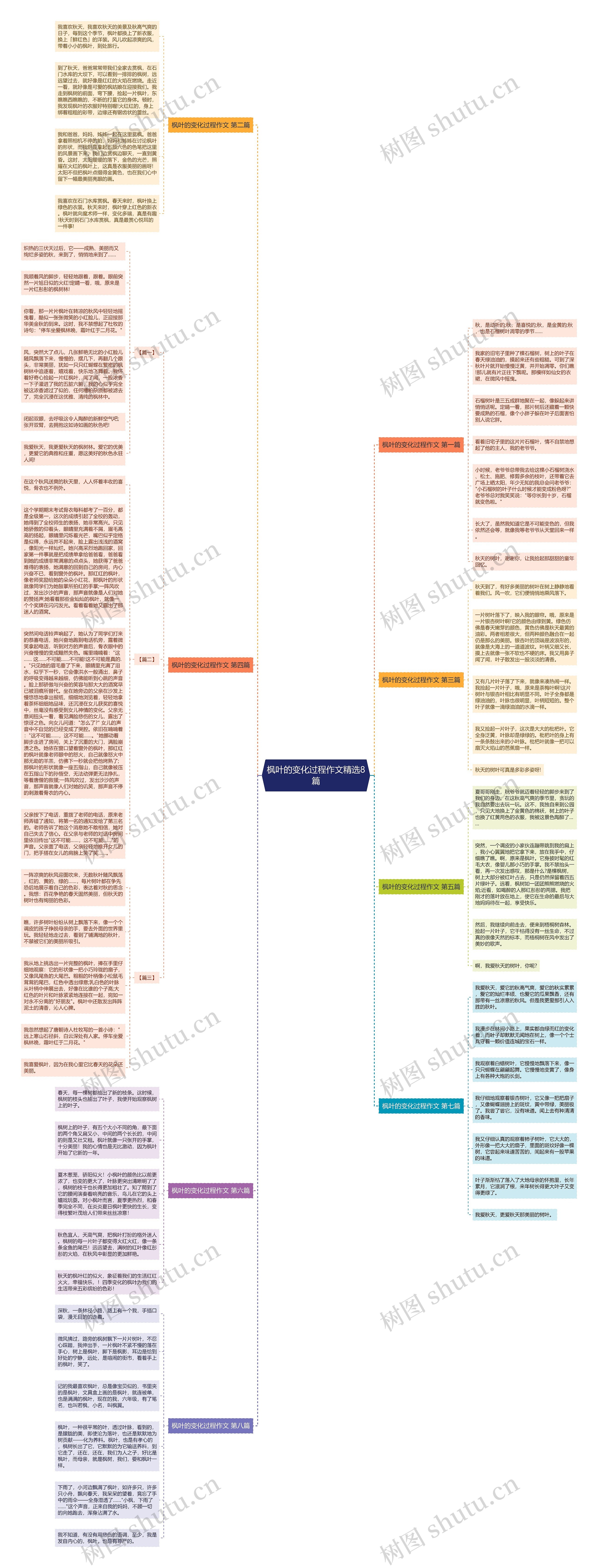 枫叶的变化过程作文精选8篇 枫叶的变化过程作文精选8篇
