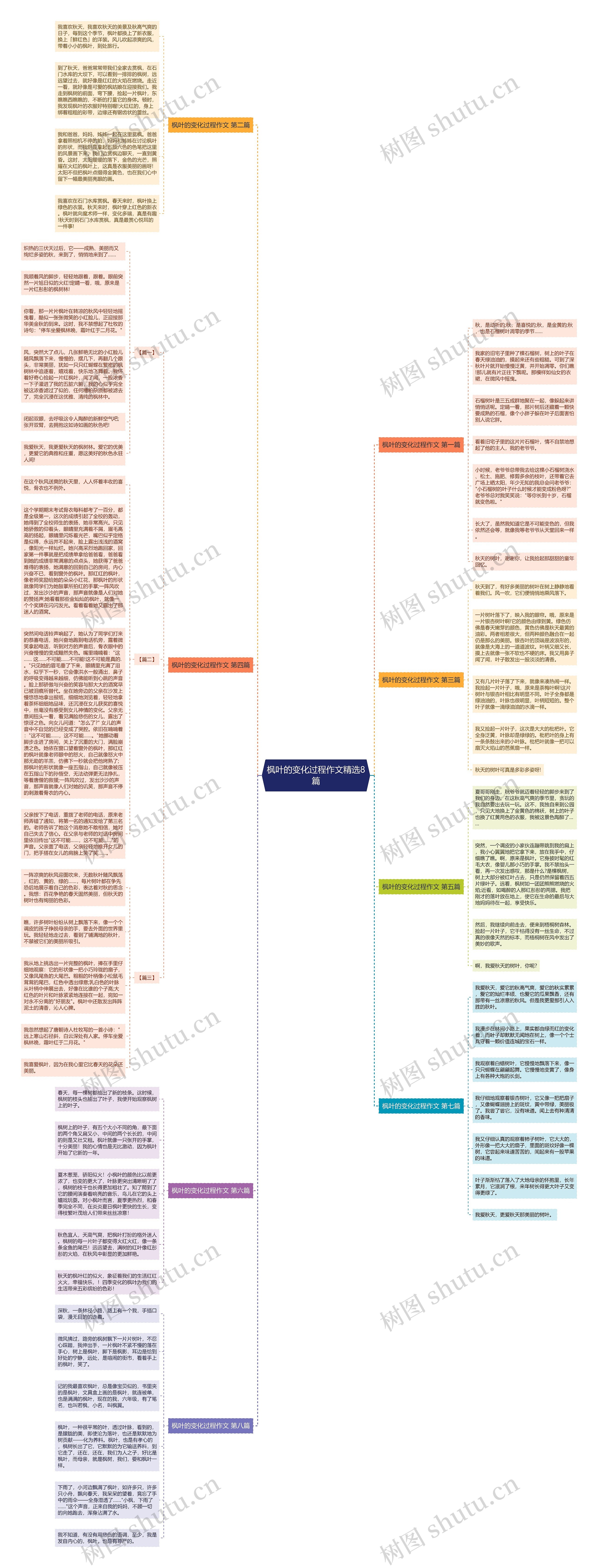 枫叶的变化过程作文精选8篇思维导图