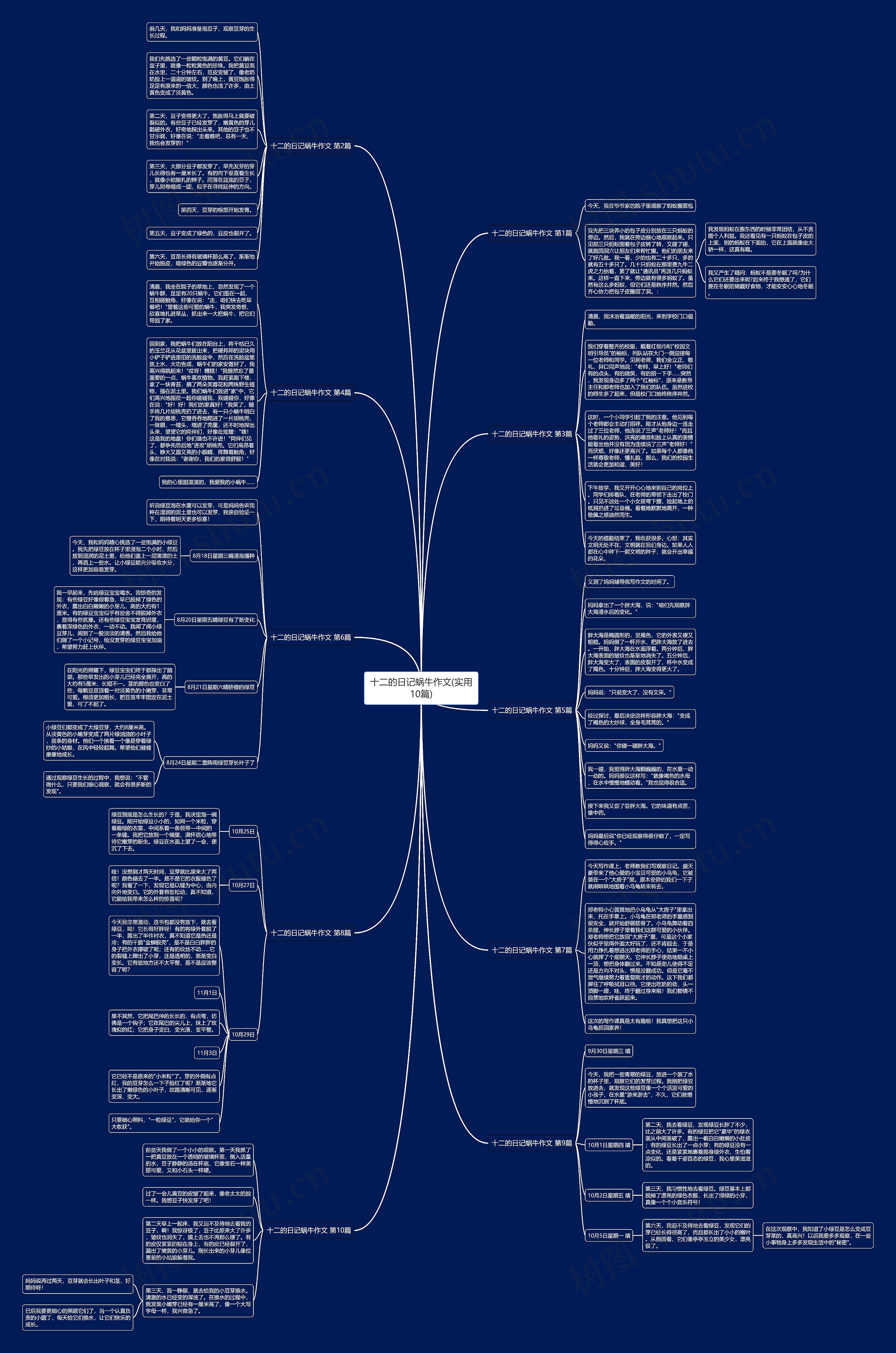 十二的日记蜗牛作文(实用10篇)思维导图