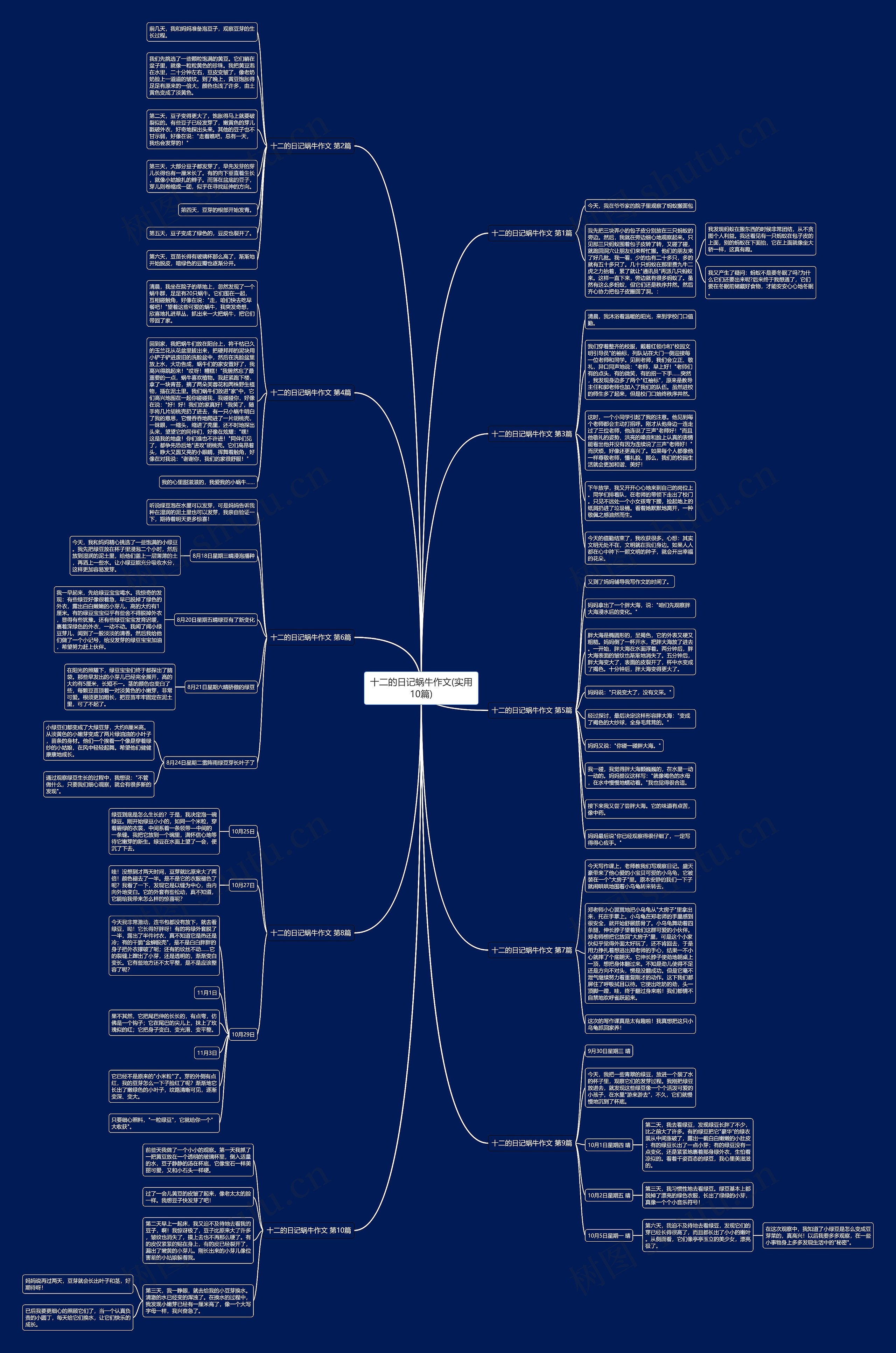 十二的日记蜗牛作文(实用10篇) 十二的日记蜗牛作文(实用10篇)