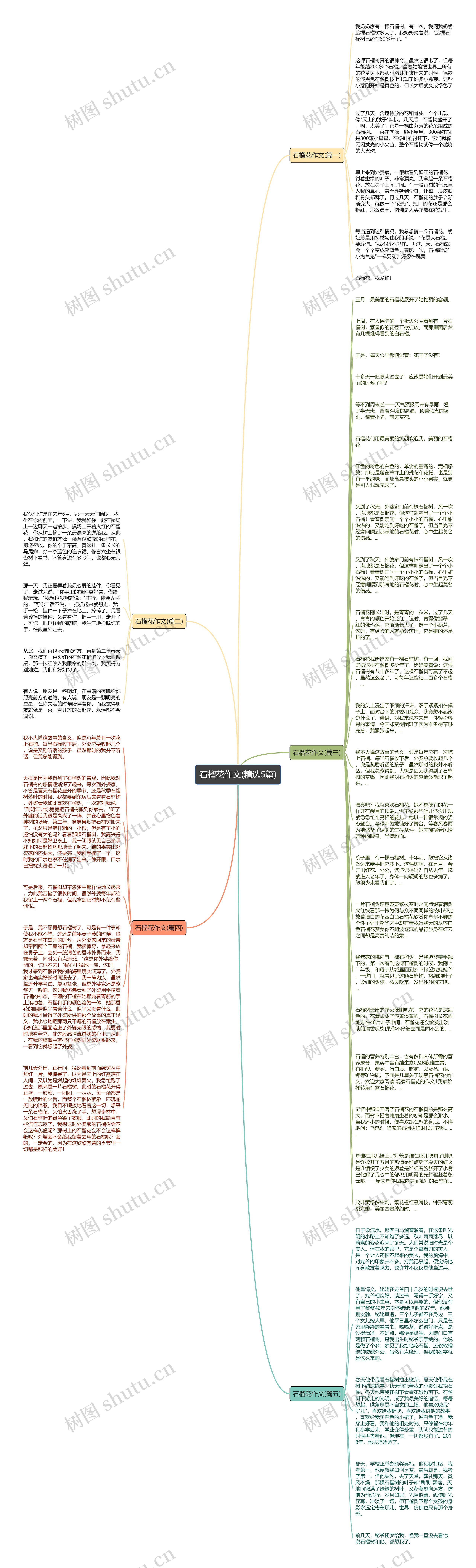石榴花作文(精选5篇)思维导图