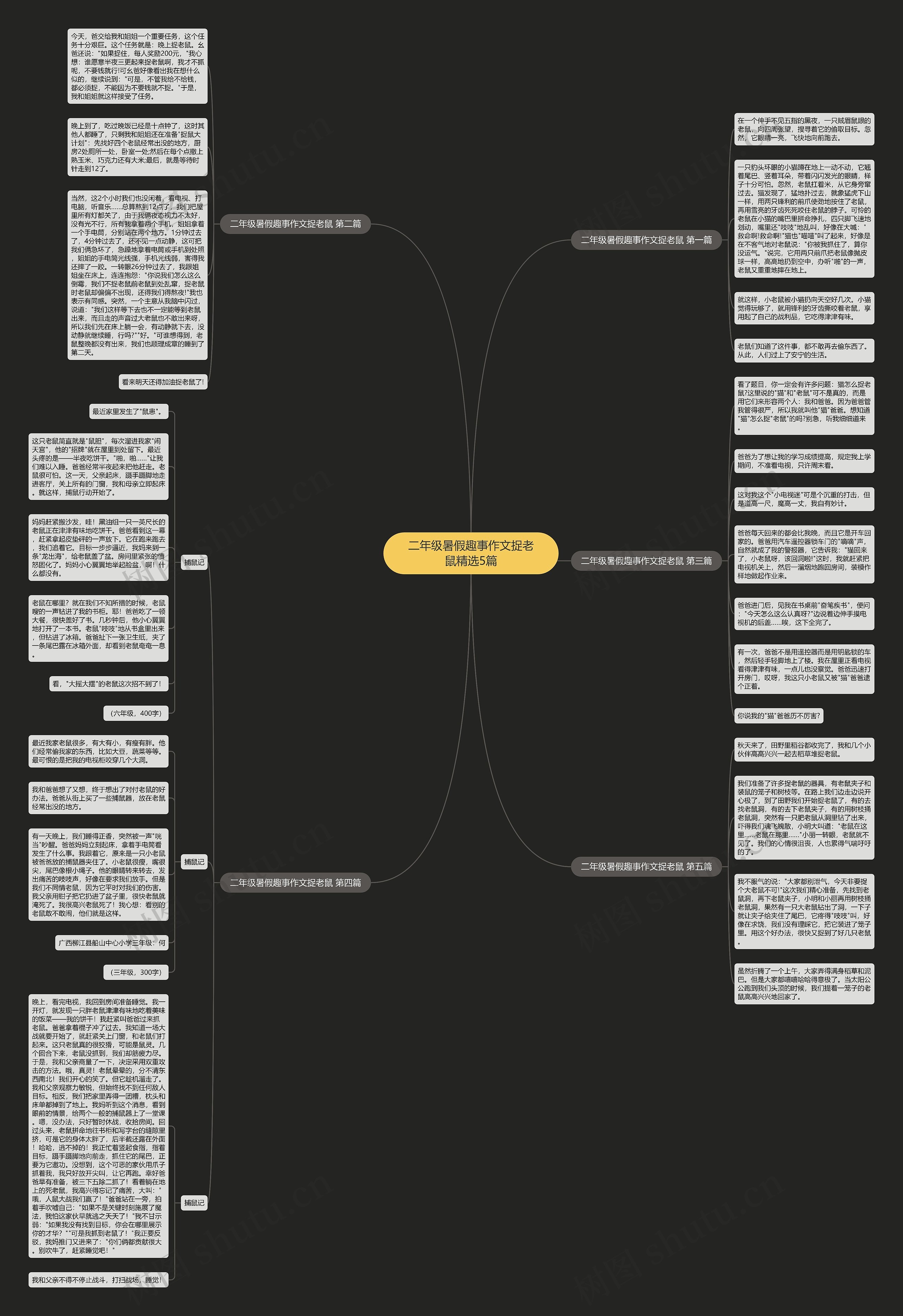 二年级暑假趣事作文捉老鼠精选5篇思维导图