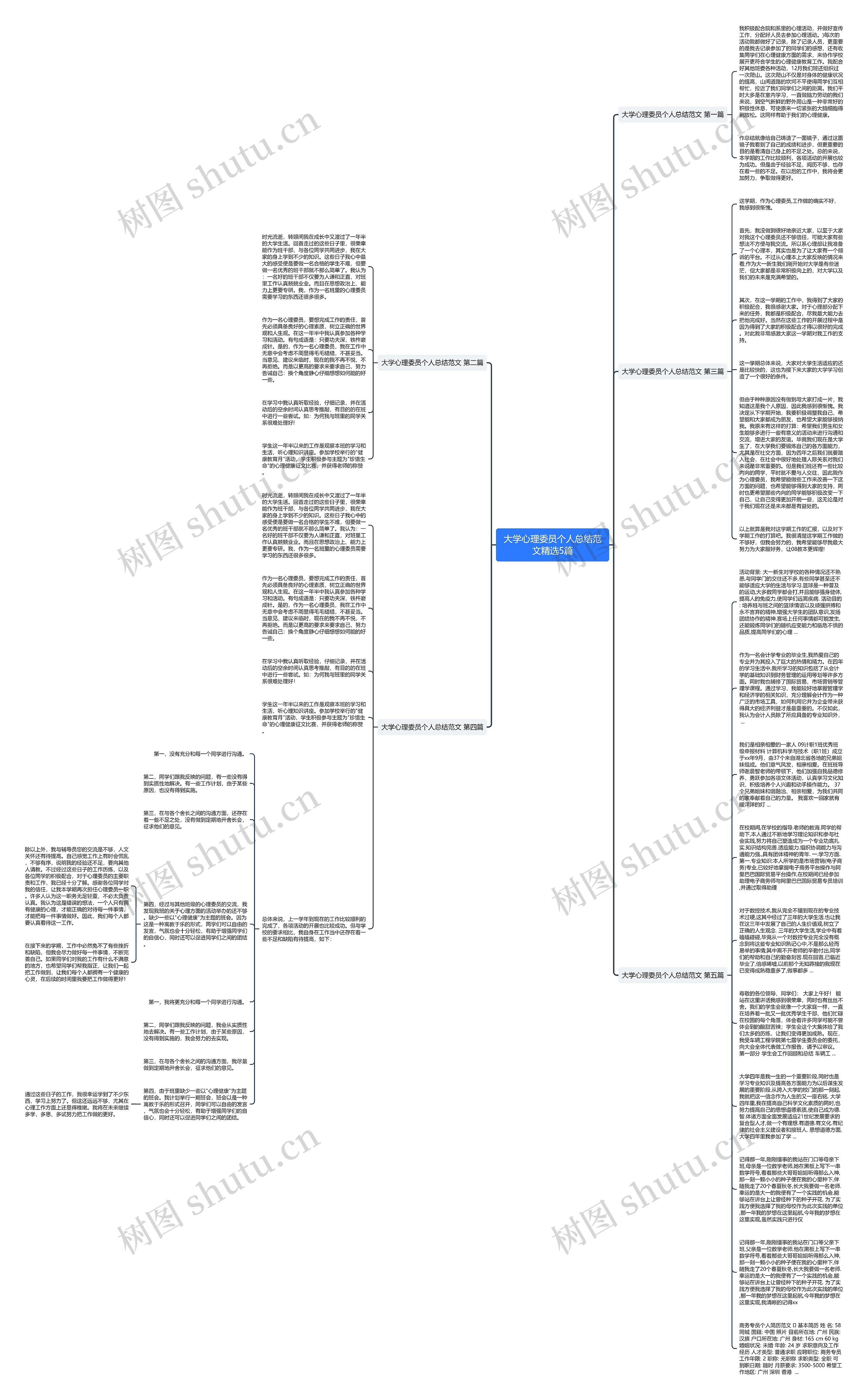 大学心理委员个人总结范文精选5篇思维导图