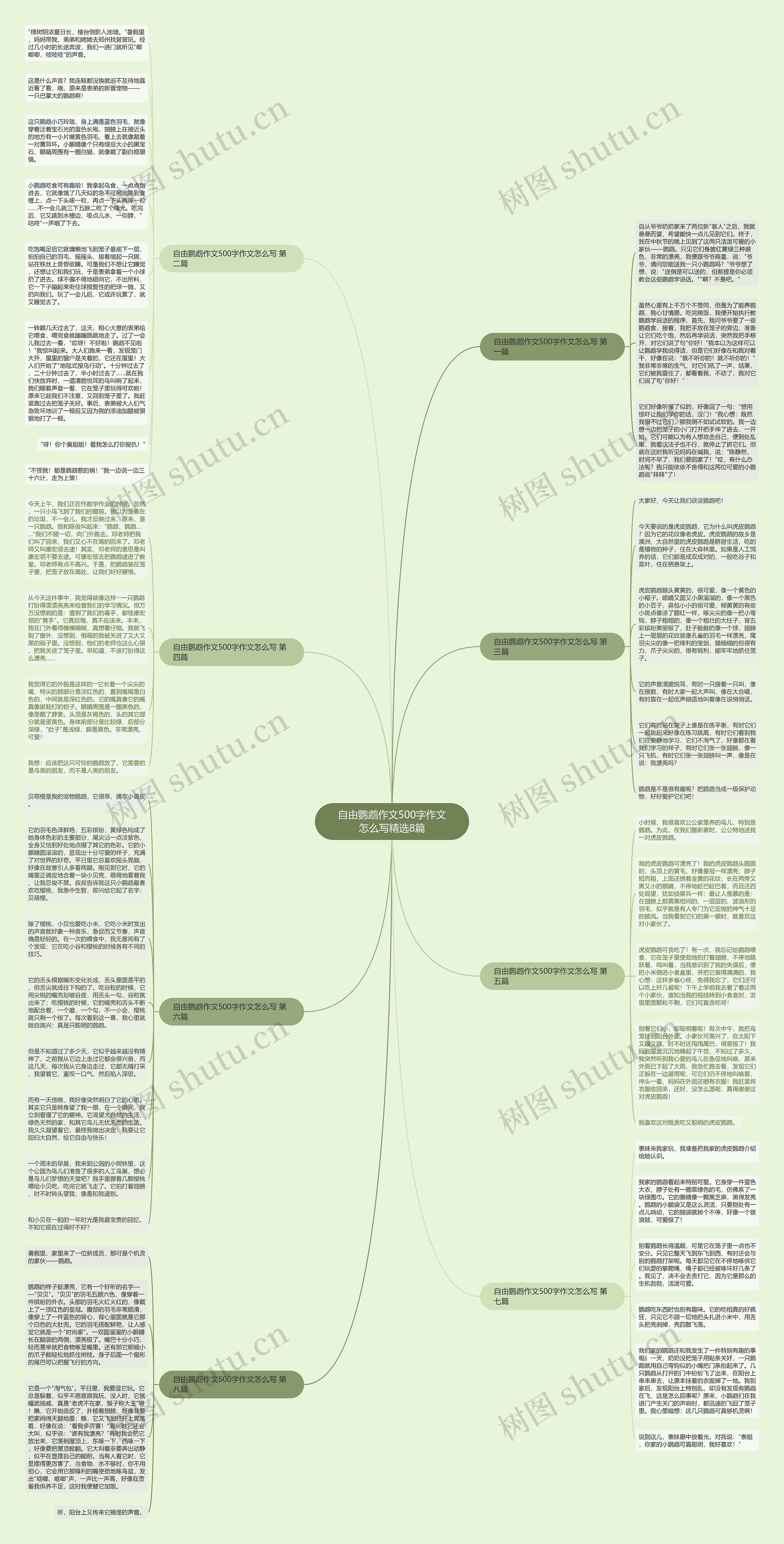 自由鹦鹉作文500字作文怎么写精选8篇思维导图
