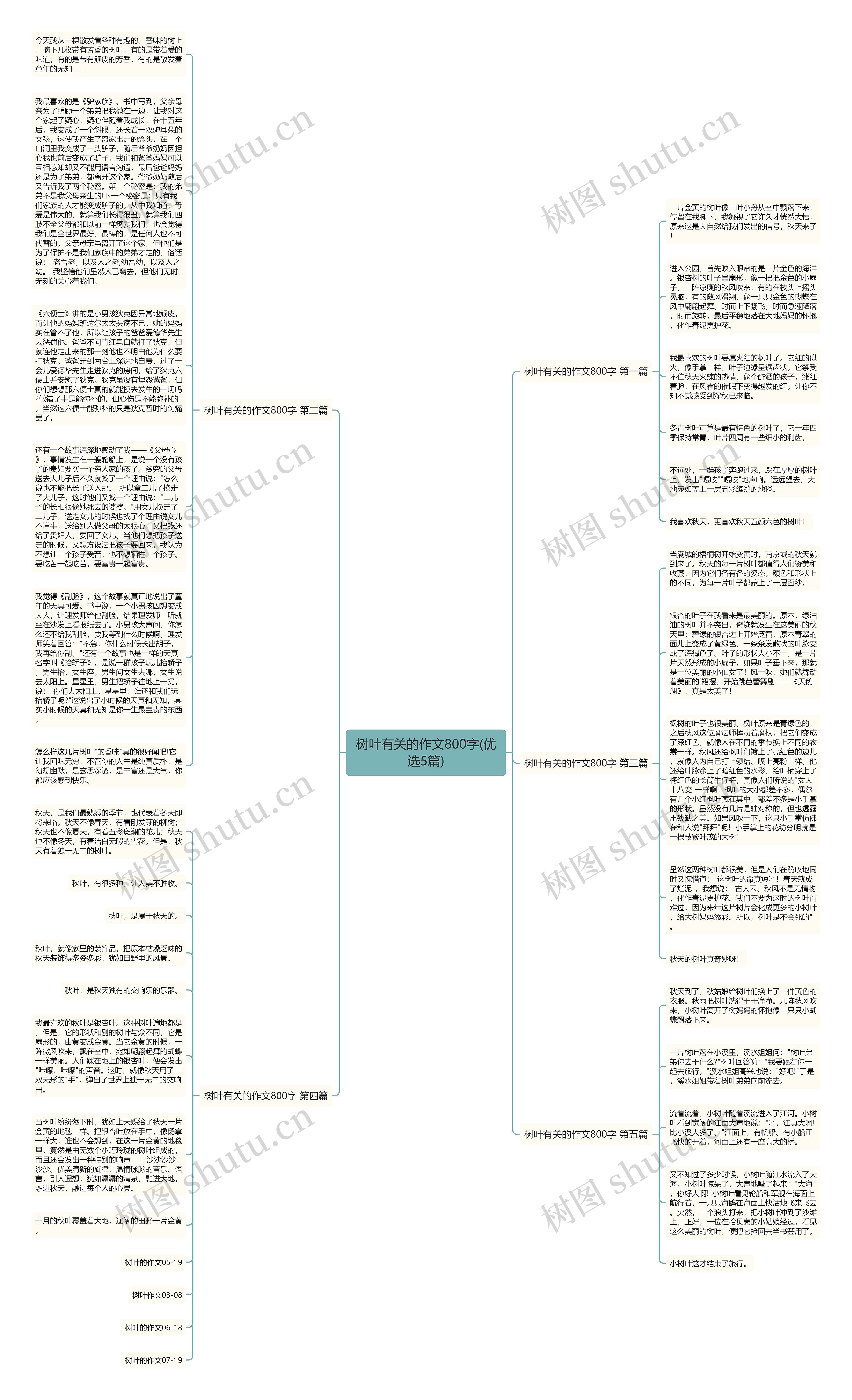 树叶有关的作文800字(优选5篇)思维导图