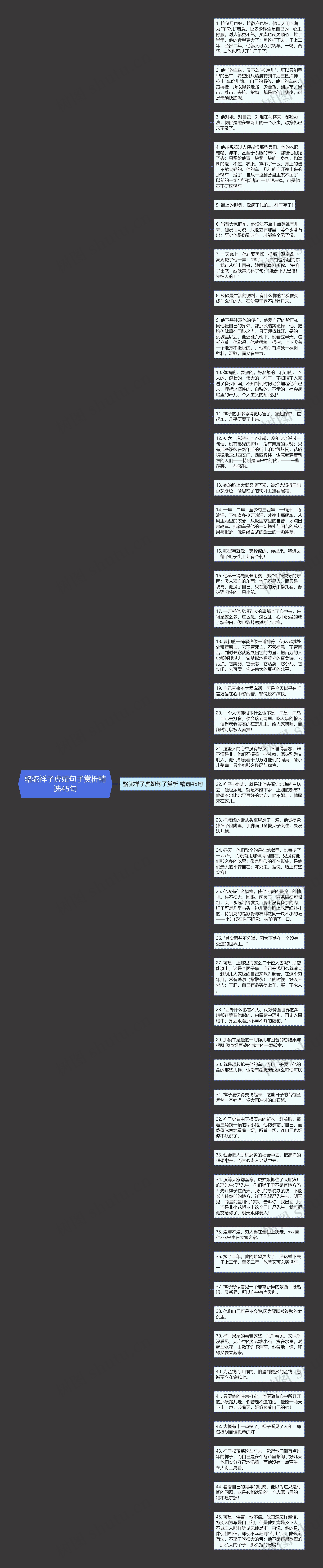 骆驼祥子虎妞句子赏析精选45句思维导图