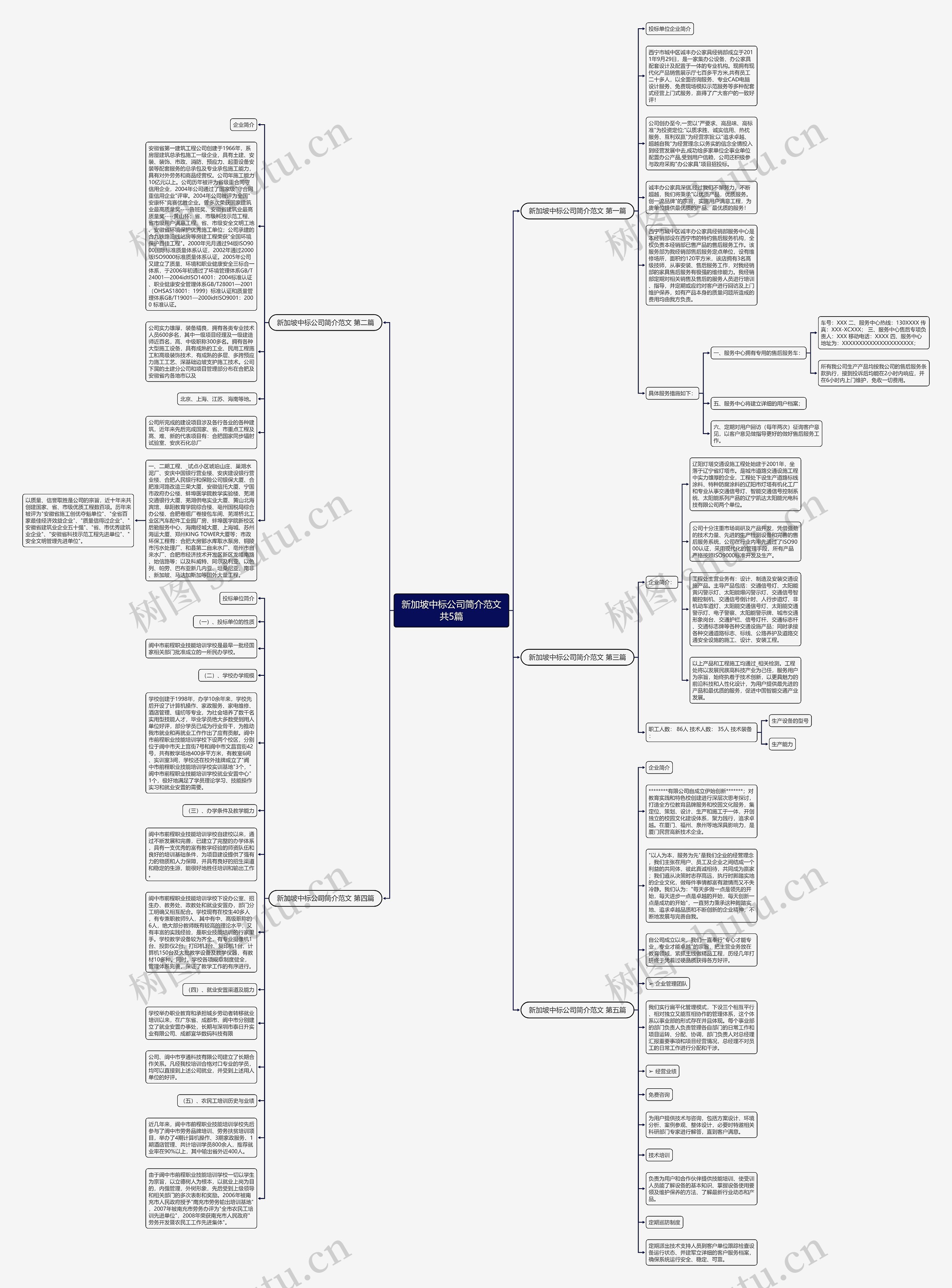 新加坡中标公司简介范文共5篇思维导图