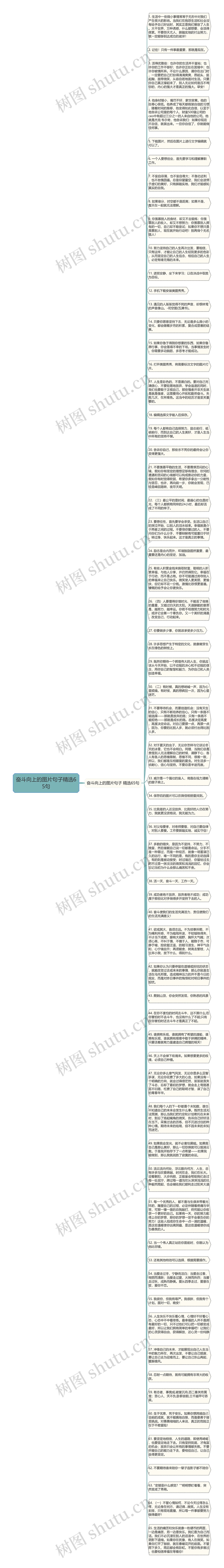 奋斗向上的图片句子精选65句