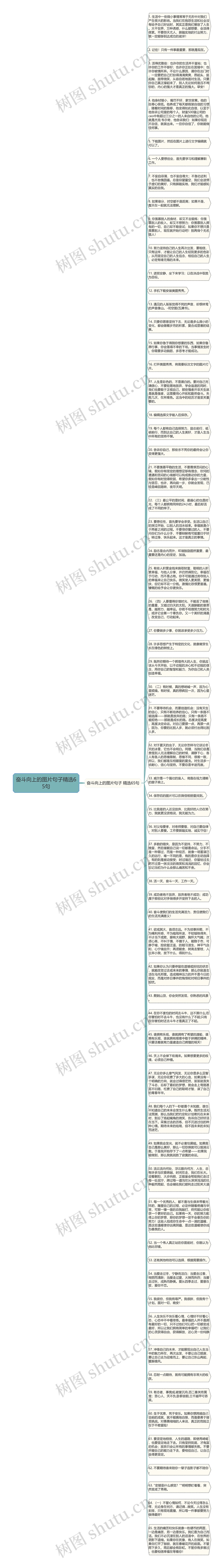 奋斗向上的图片句子精选65句思维导图