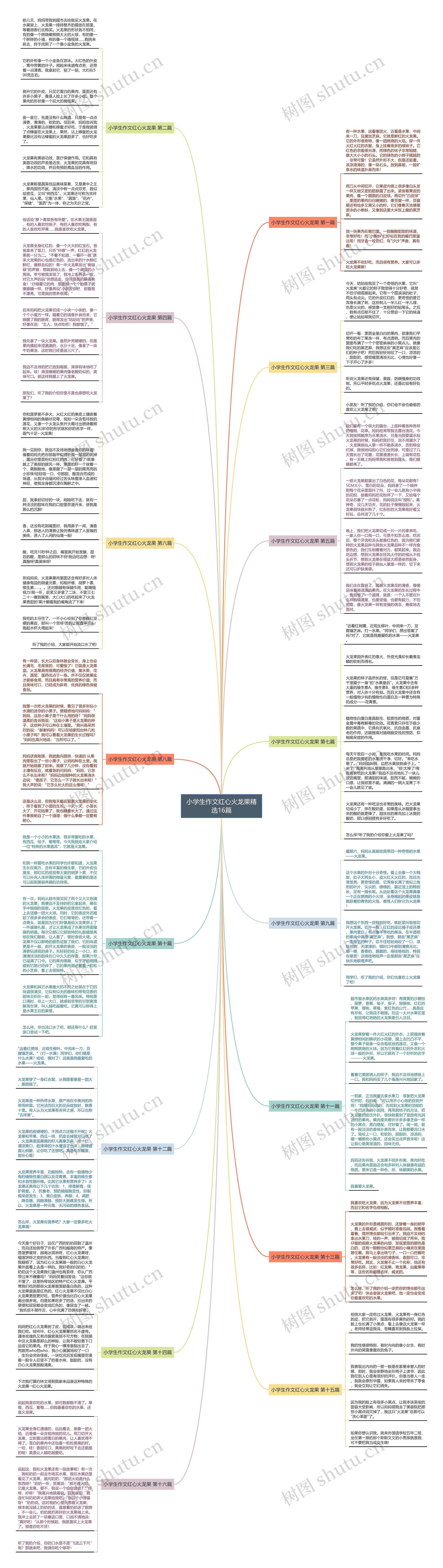 小学生作文红心火龙果精选16篇思维导图