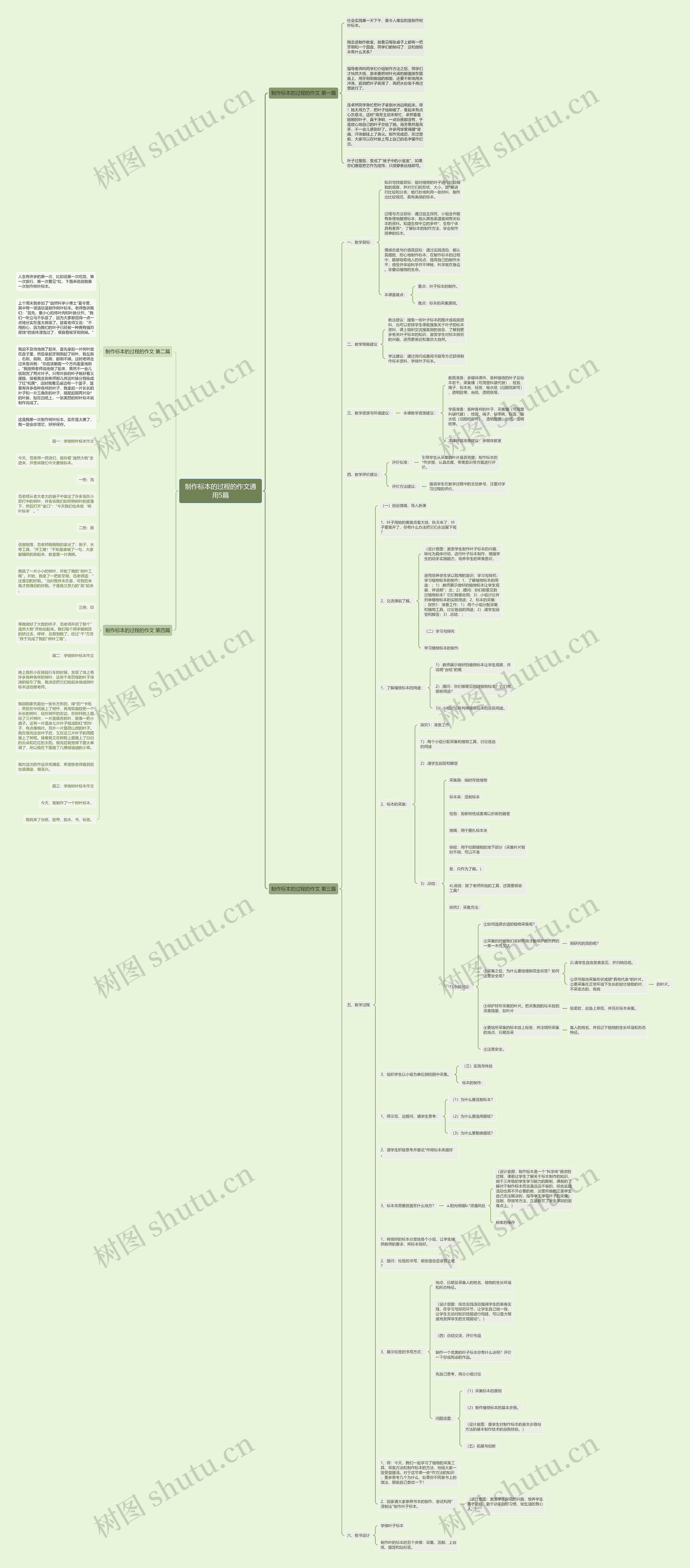 制作标本的过程的作文通用5篇思维导图高清图 制作标本的过程的作文通用5篇思维导图