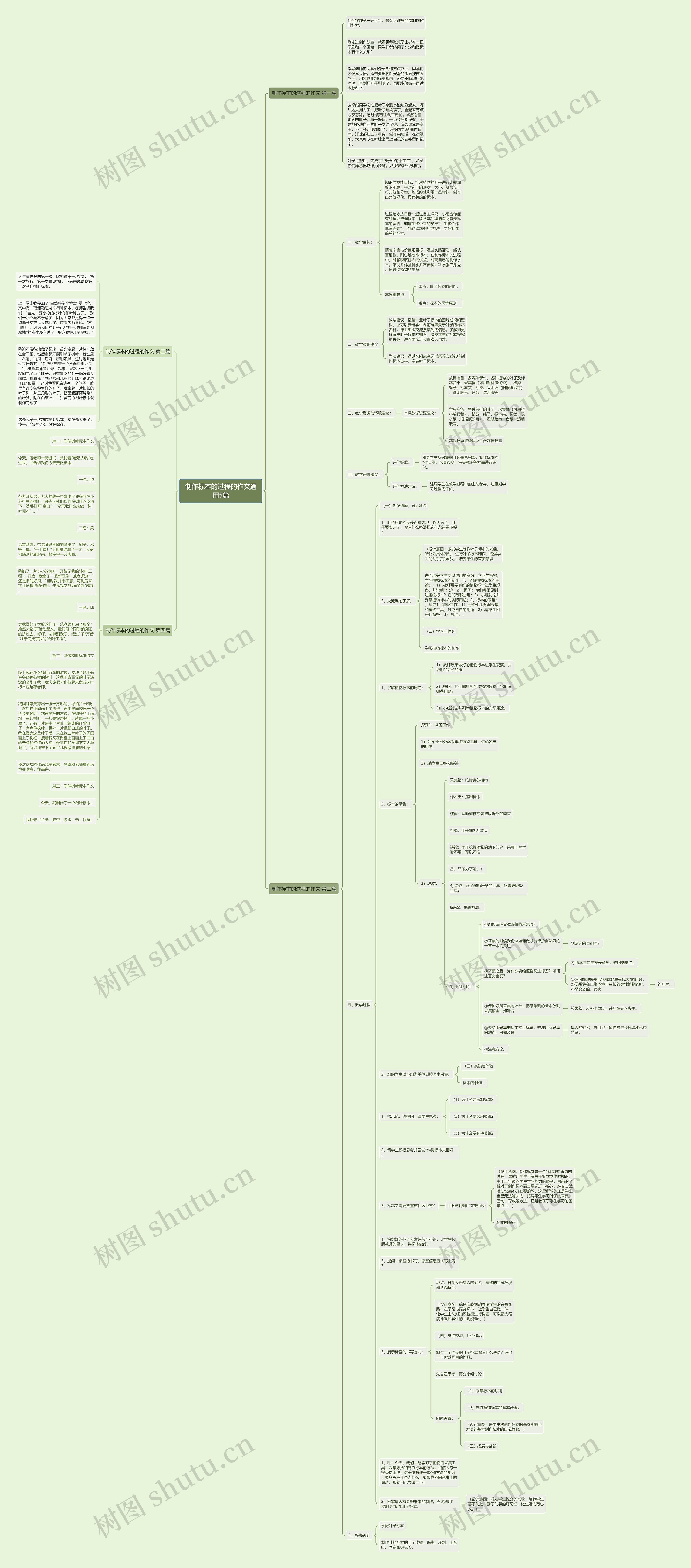 制作标本的过程的作文通用5篇思维导图