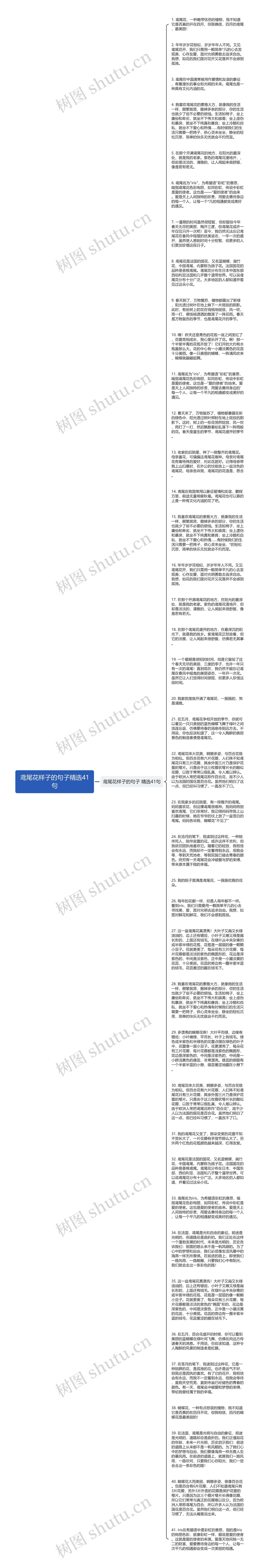 鸢尾花样子的句子精选41句