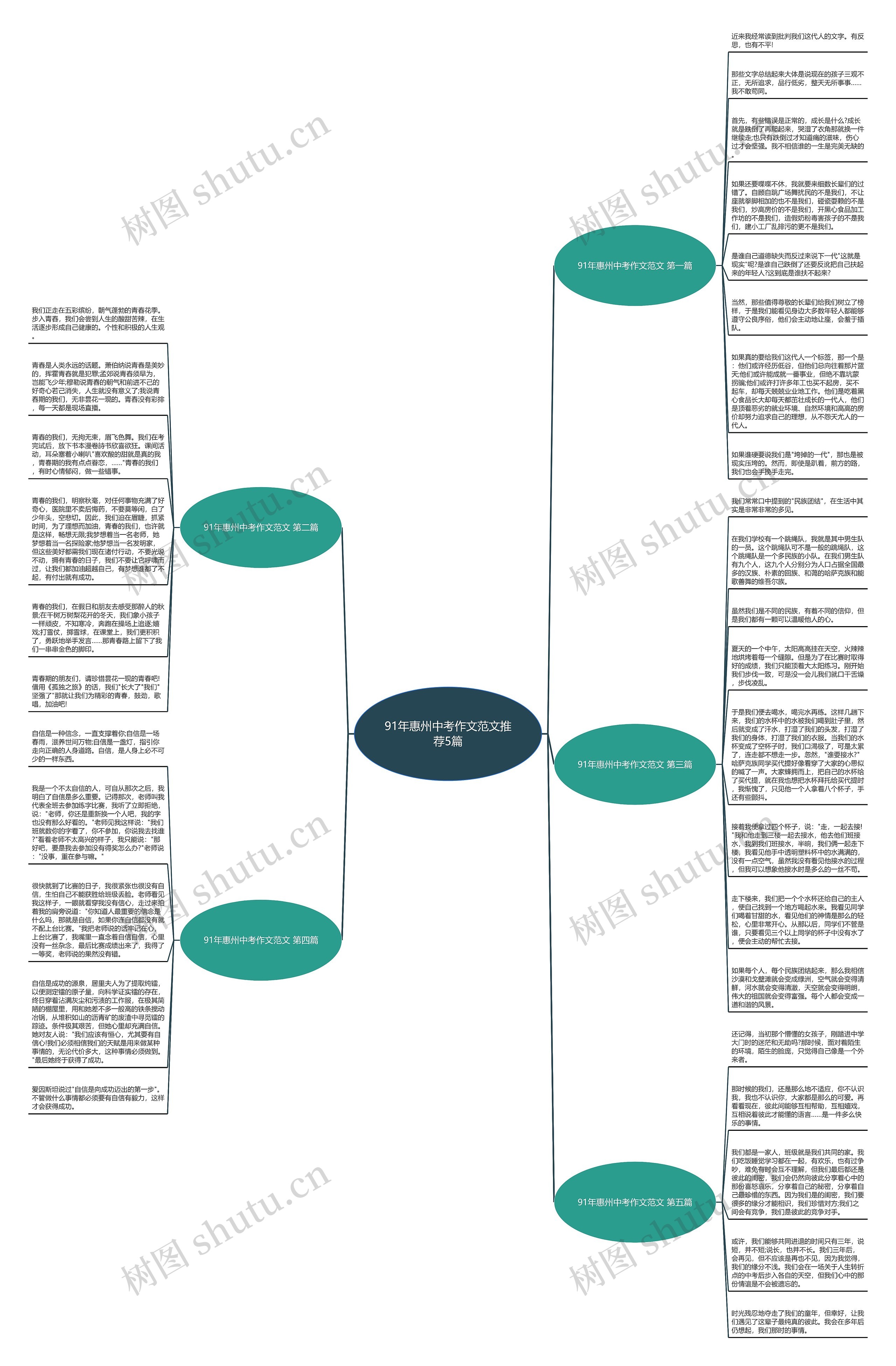 91年惠州中考作文范文推荐5篇思维导图