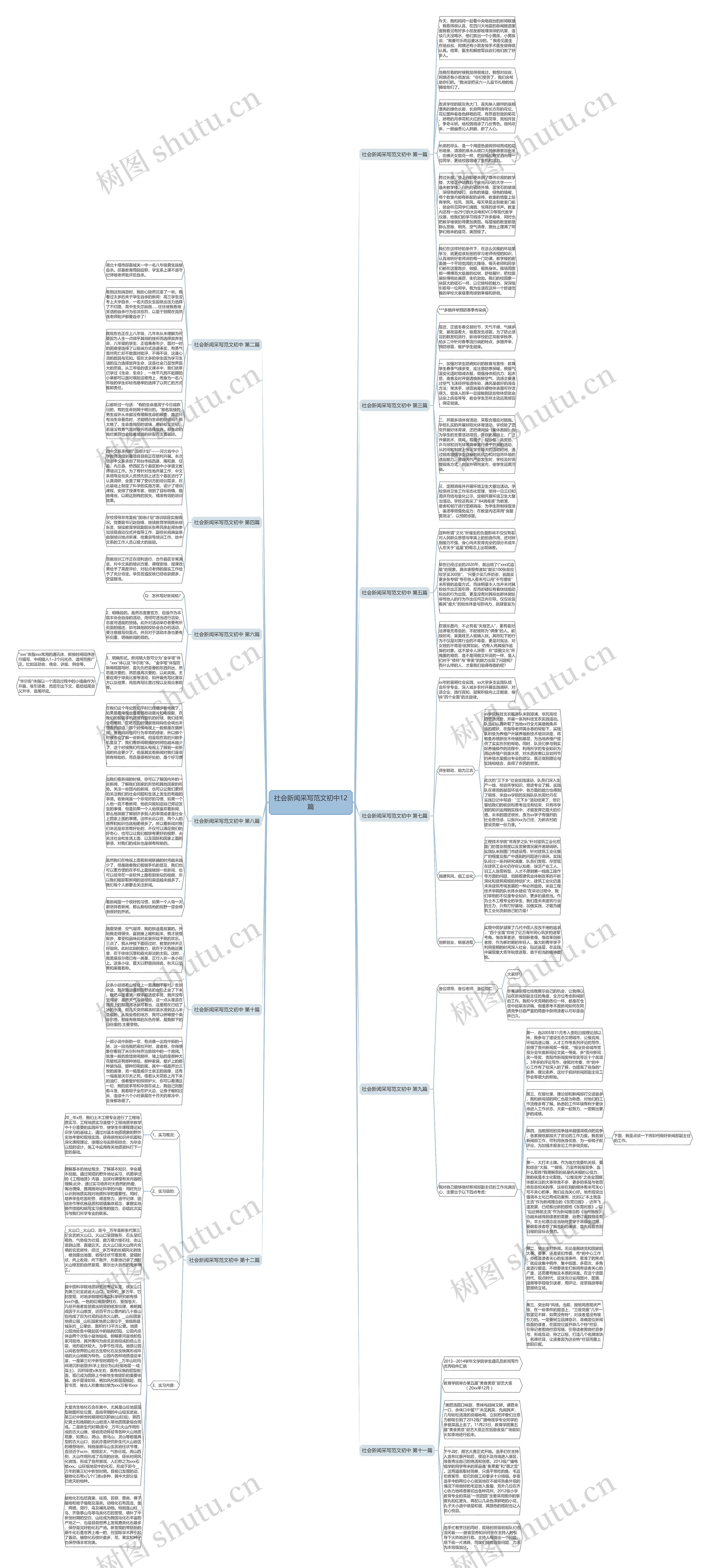 社会新闻采写范文初中12篇思维导图