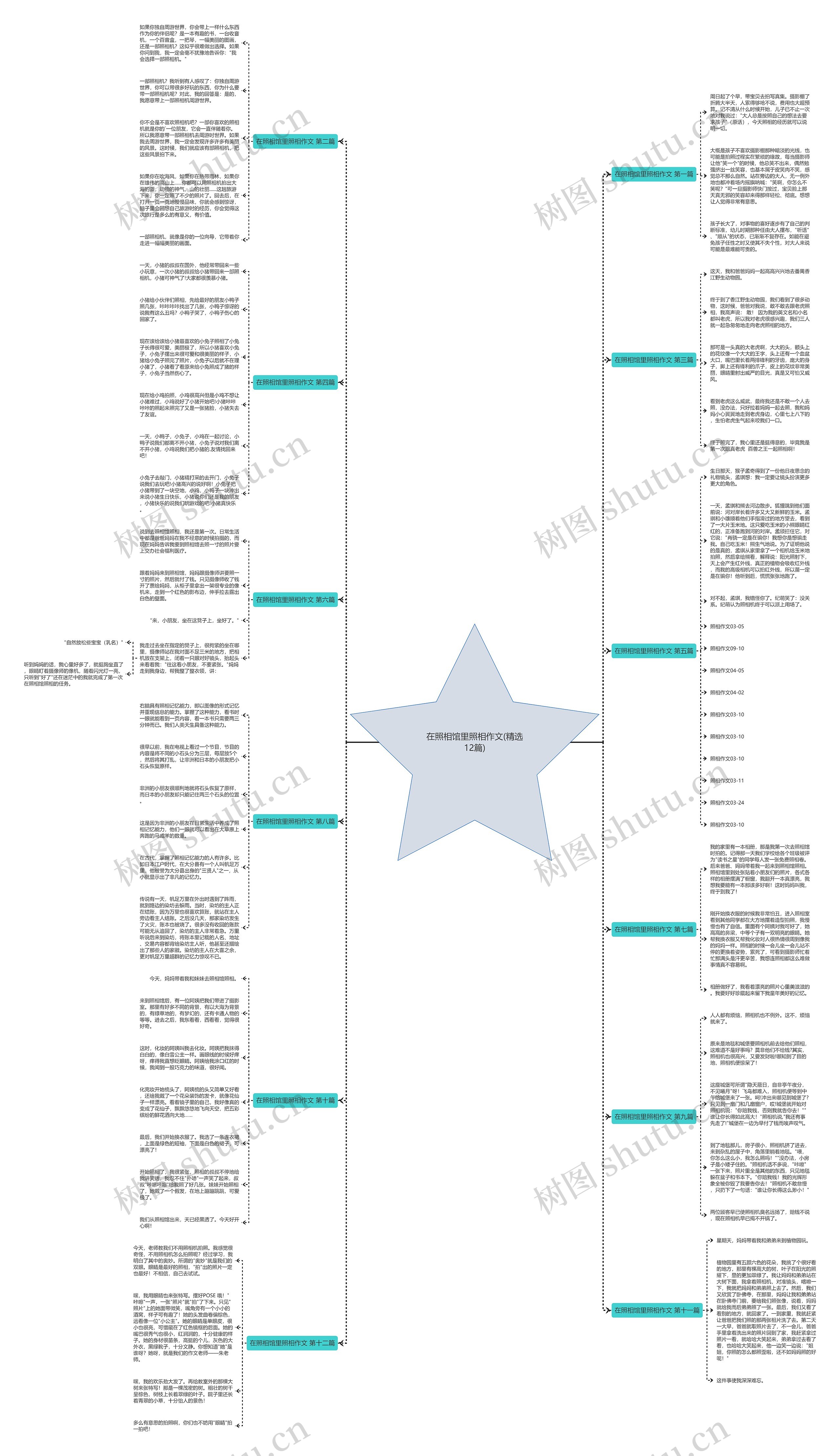 在照相馆里照相作文(精选12篇)思维导图