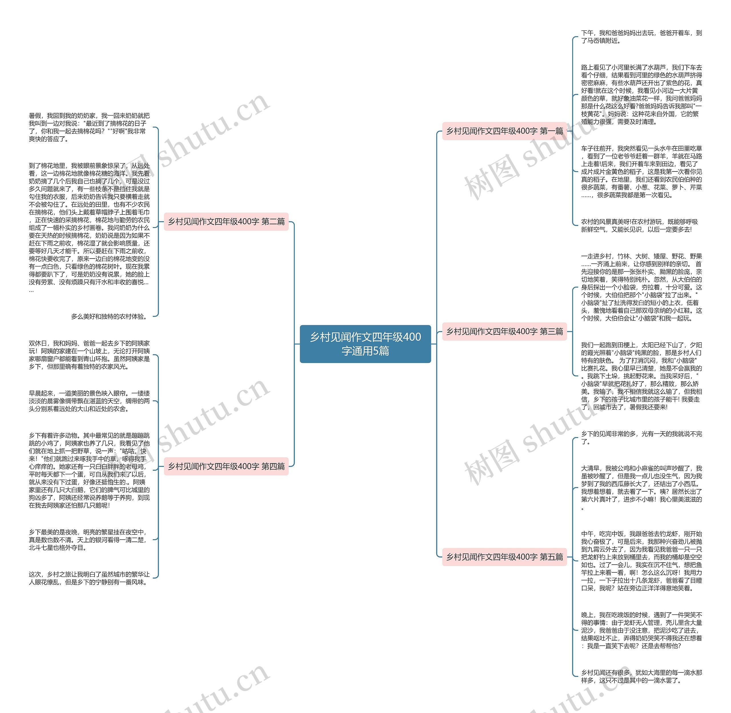 乡村见闻作文四年级400字通用5篇思维导图