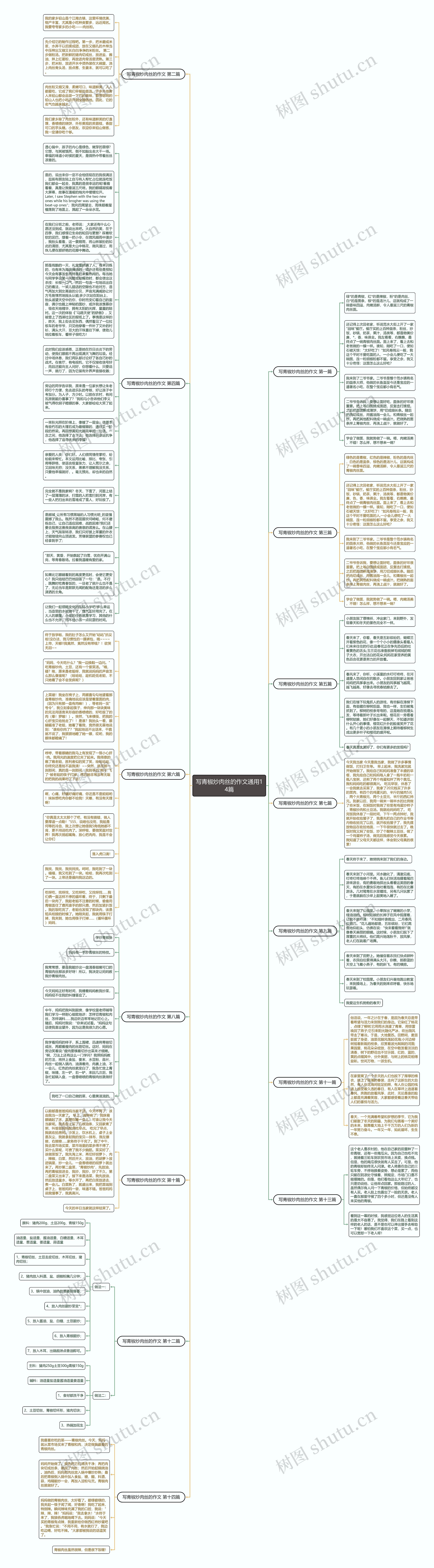 写青椒炒肉丝的作文通用14篇思维导图