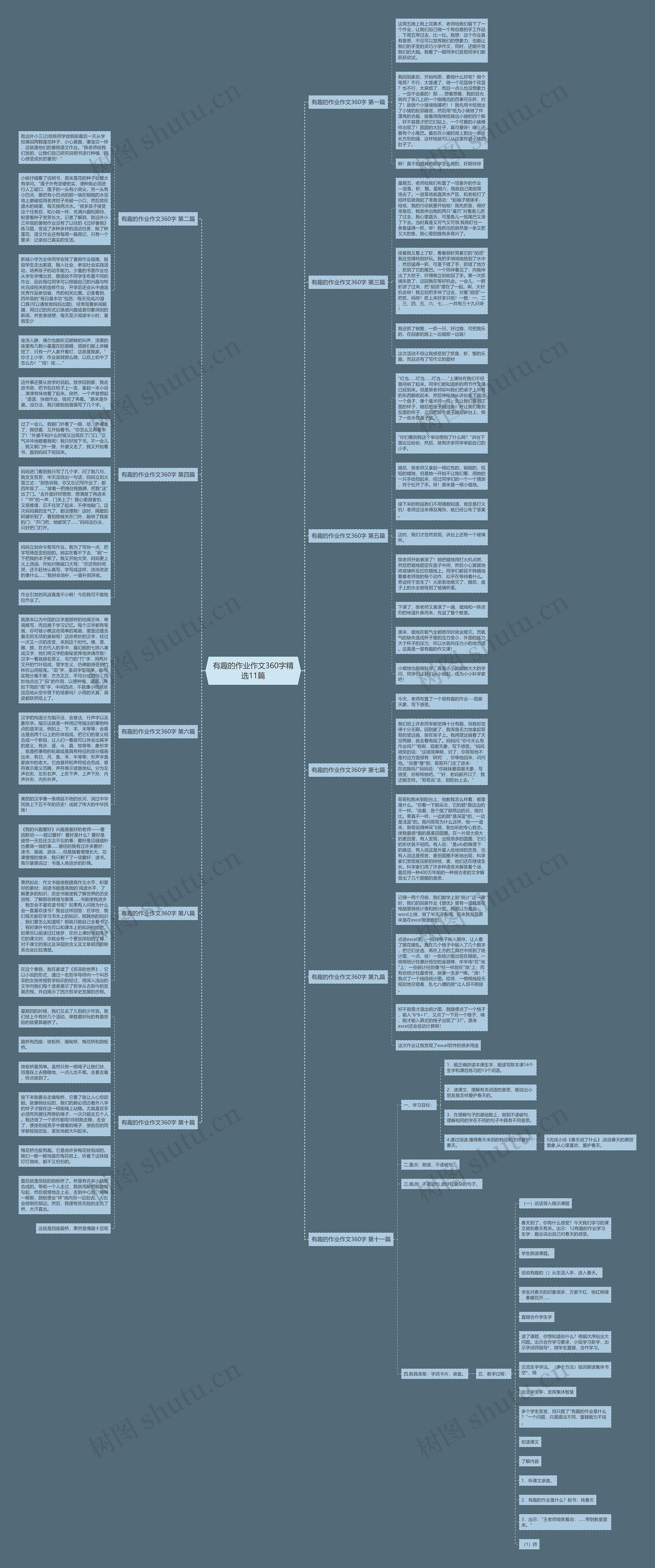 有趣的作业作文360字精选11篇思维导图