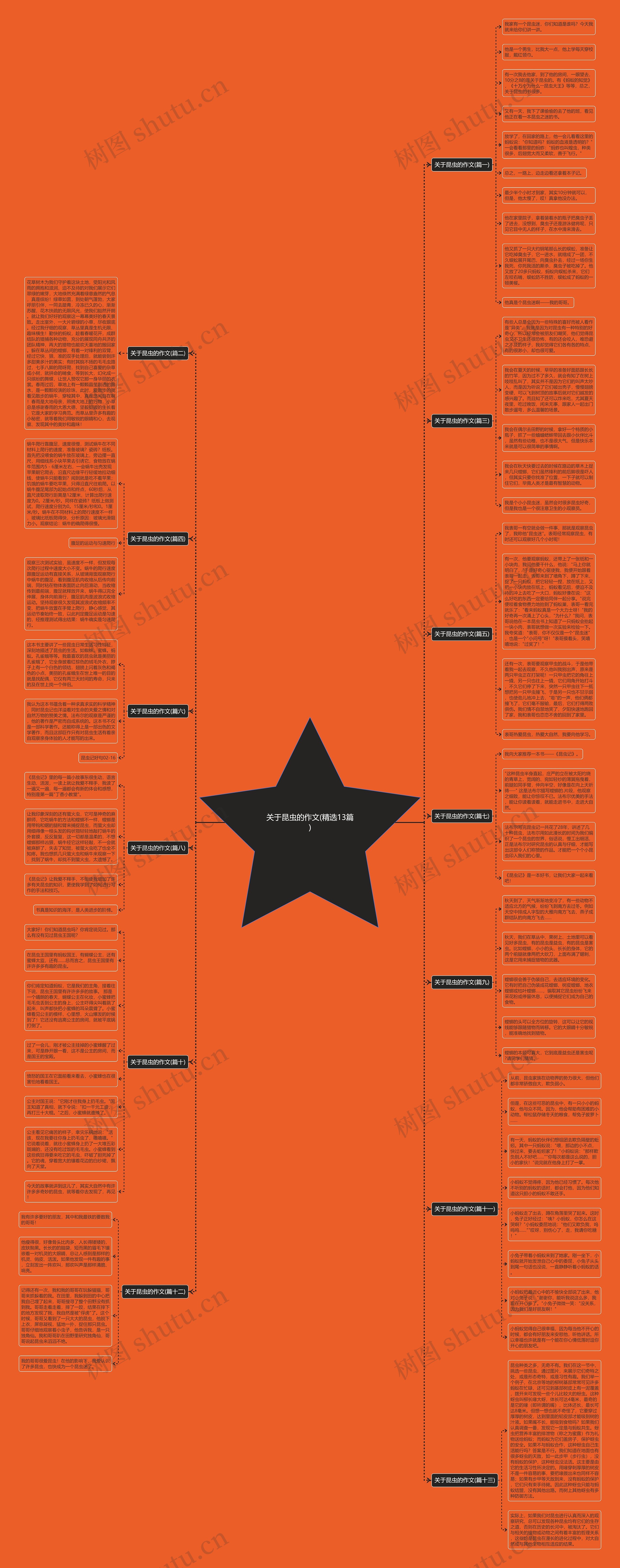 关于昆虫的作文(精选13篇) 关于昆虫的作文(精选13篇)