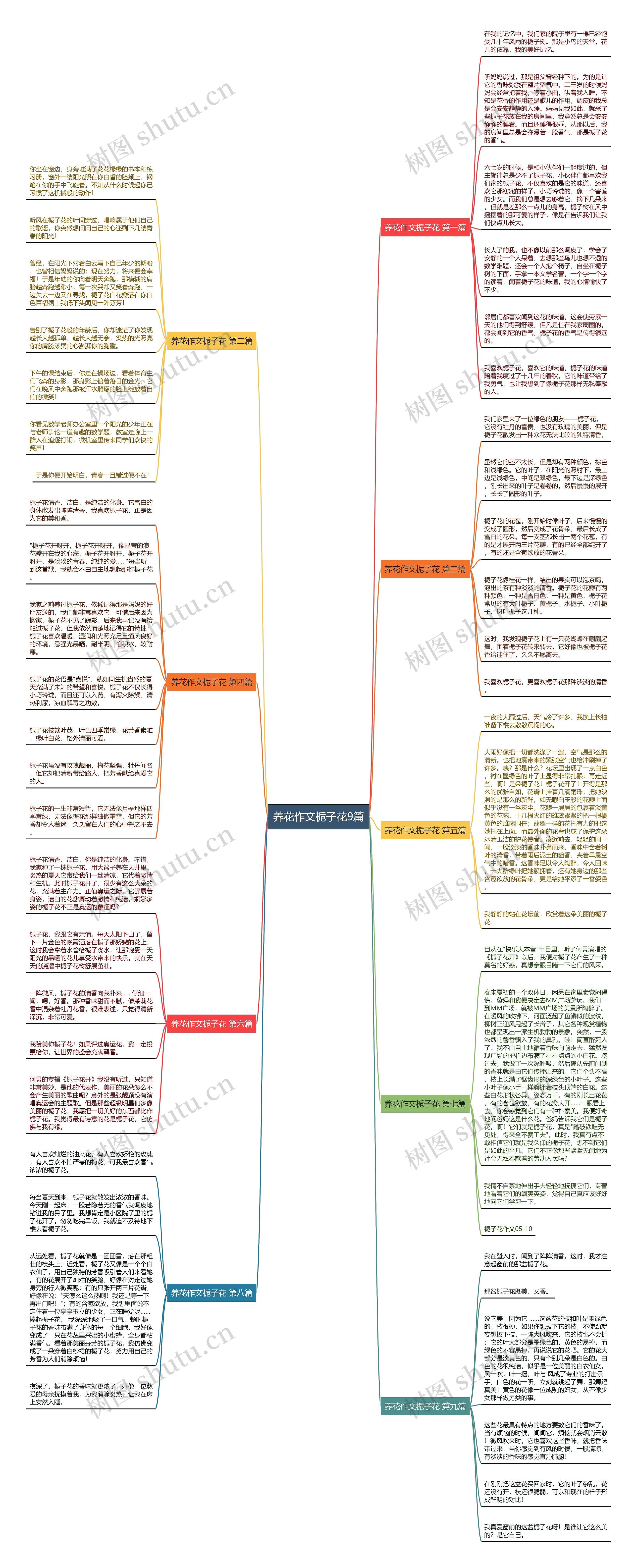 养花作文栀子花9篇思维导图