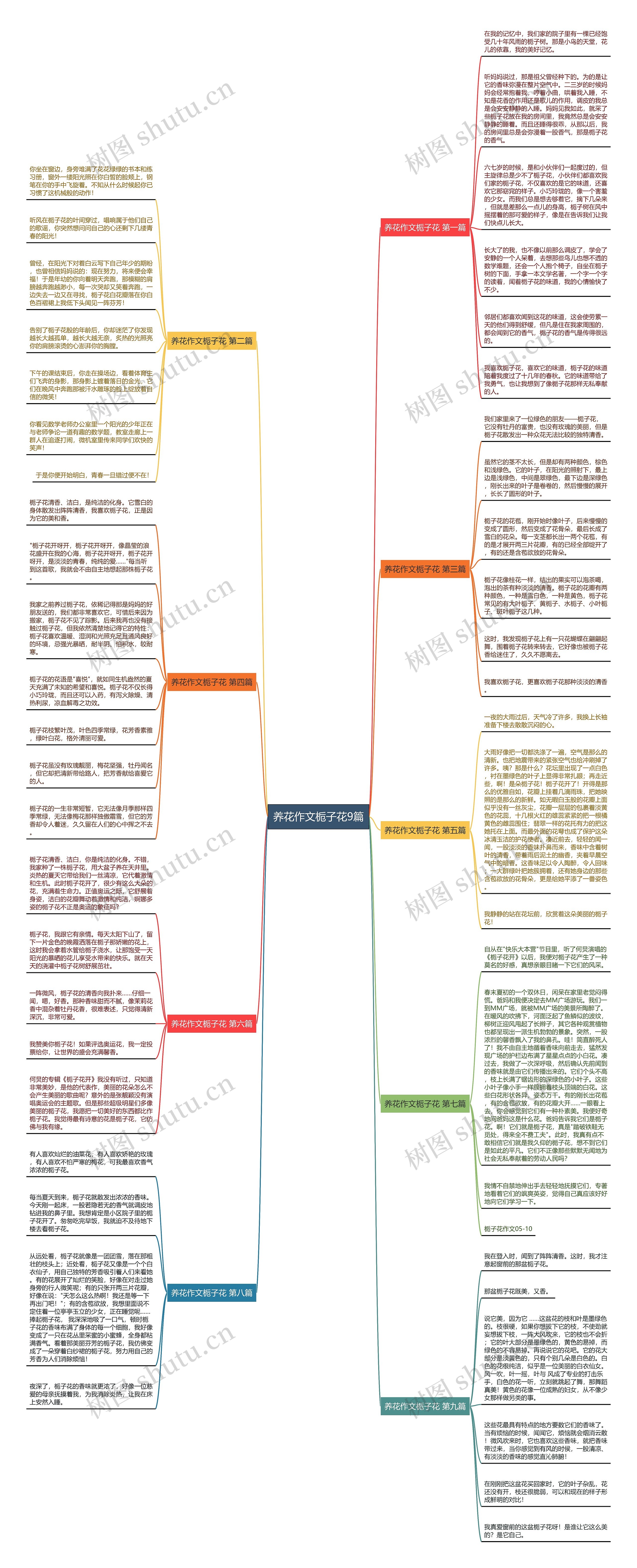 养花作文栀子花9篇 养花作文栀子花9篇
