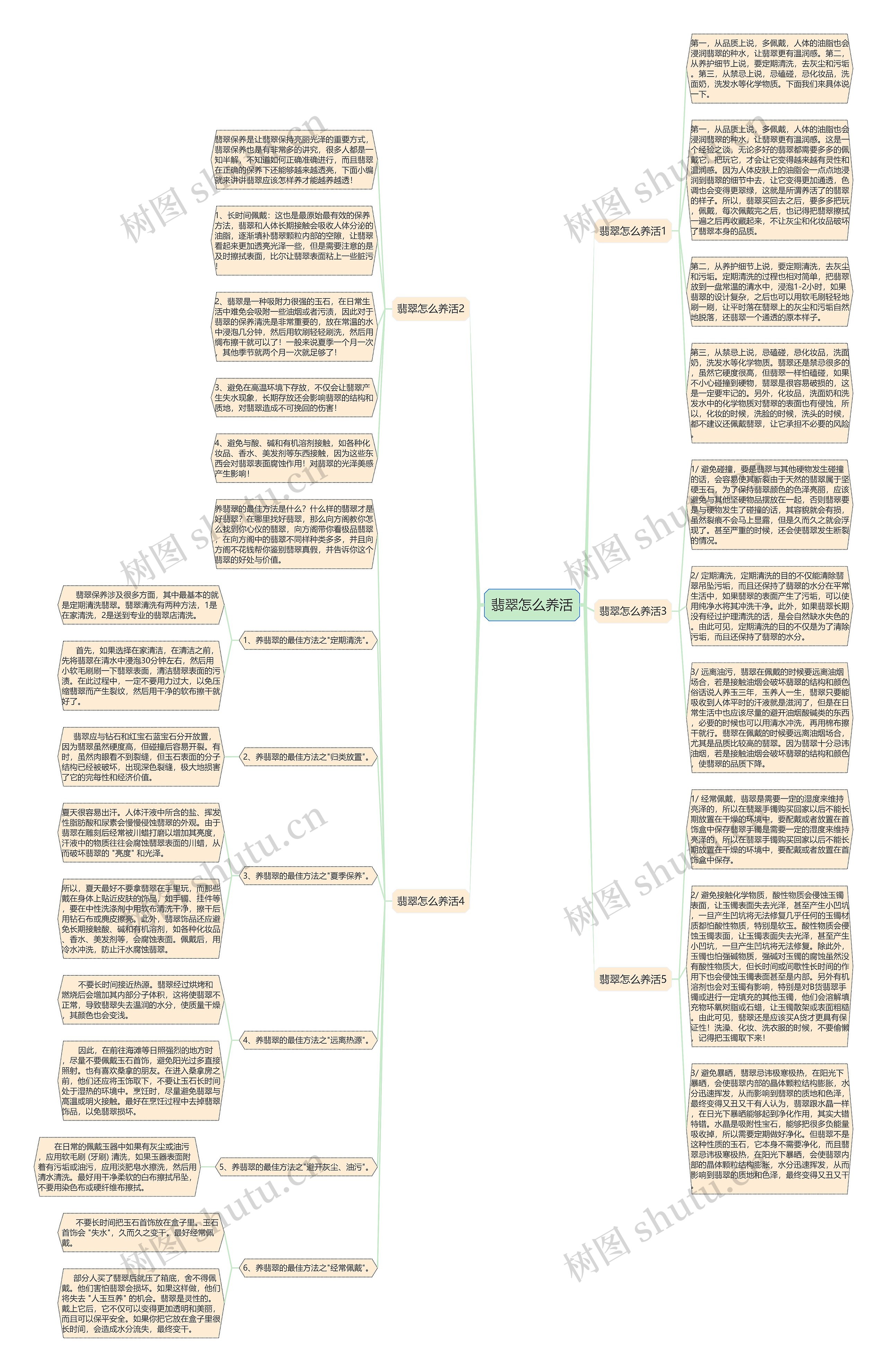 翡翠怎么养活思维导图