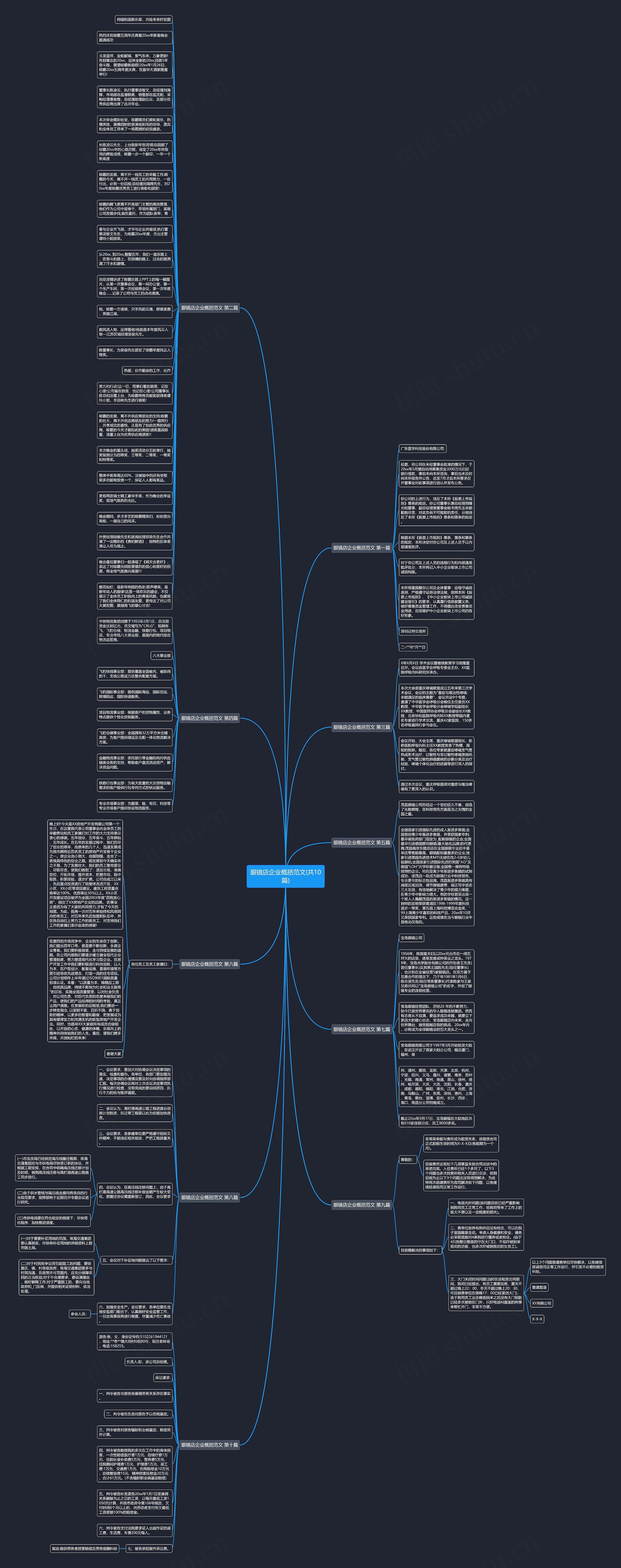 眼镜店企业概括范文(共10篇)思维导图