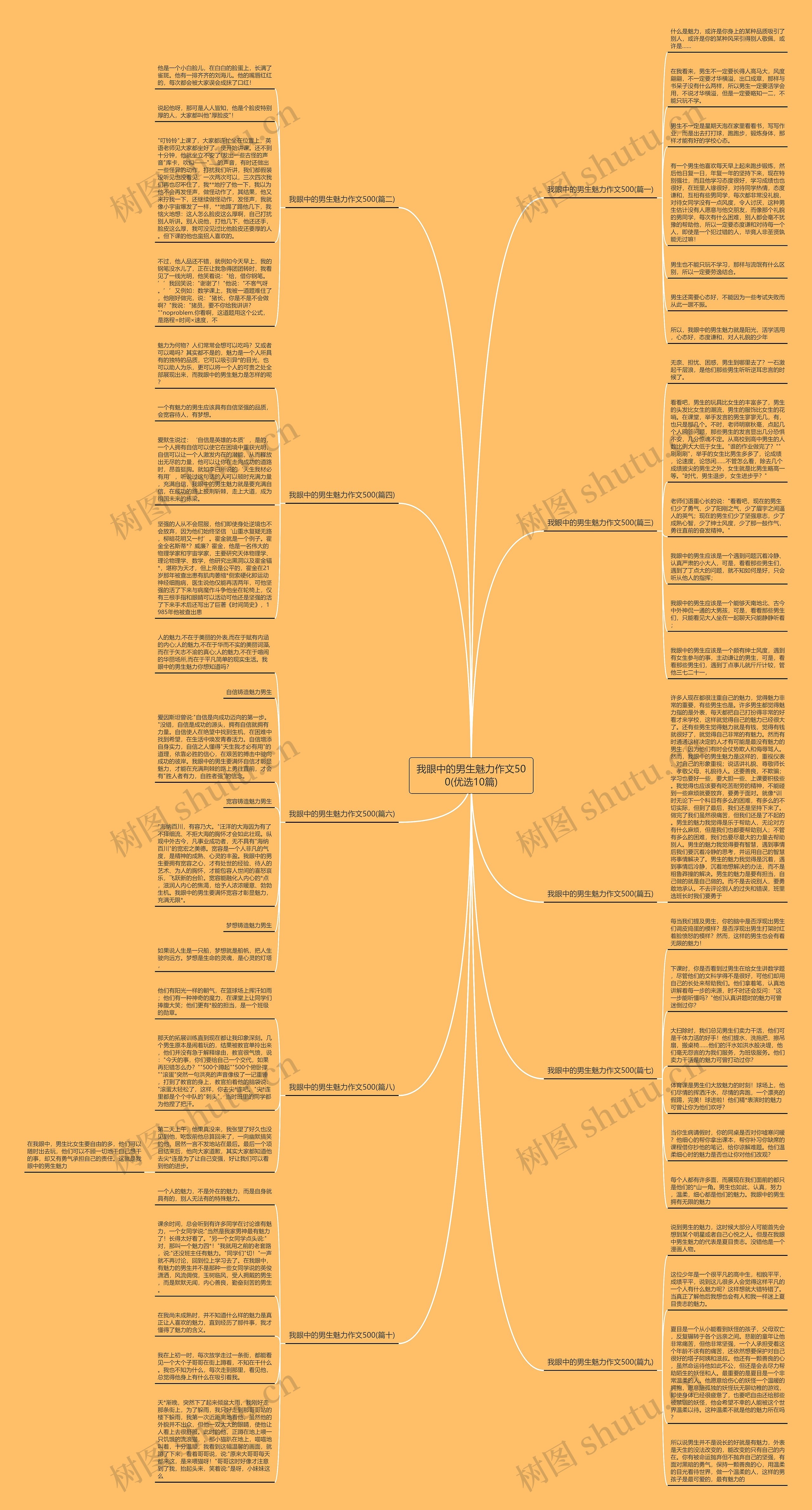 我眼中的男生魅力作文500(优选10篇)思维导图