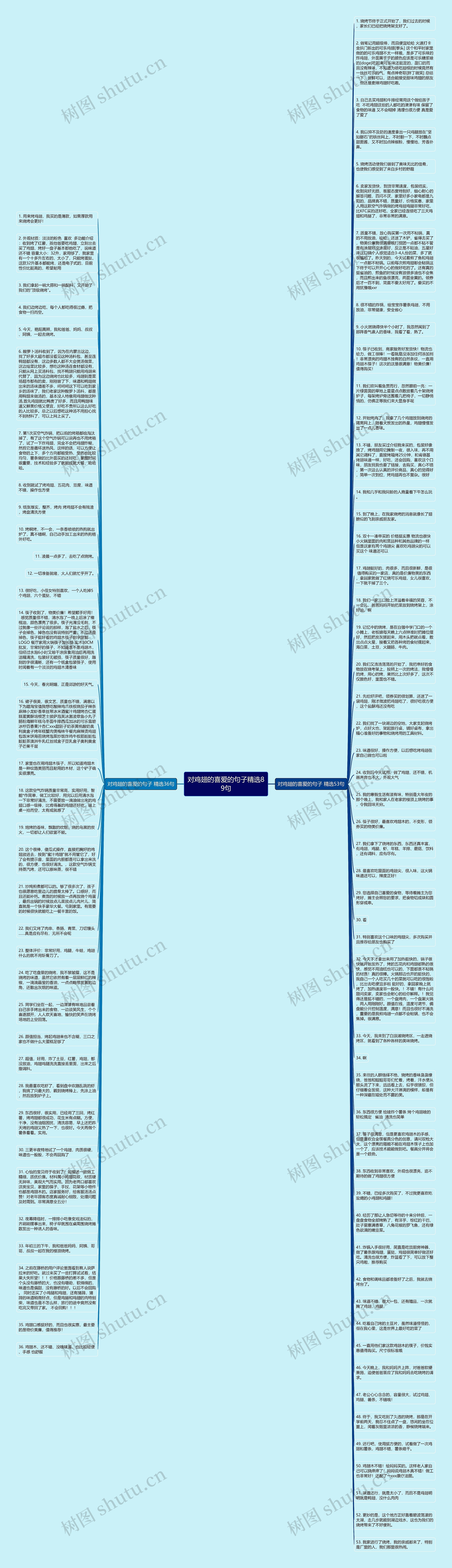 对鸡翅的喜爱的句子精选89句思维导图