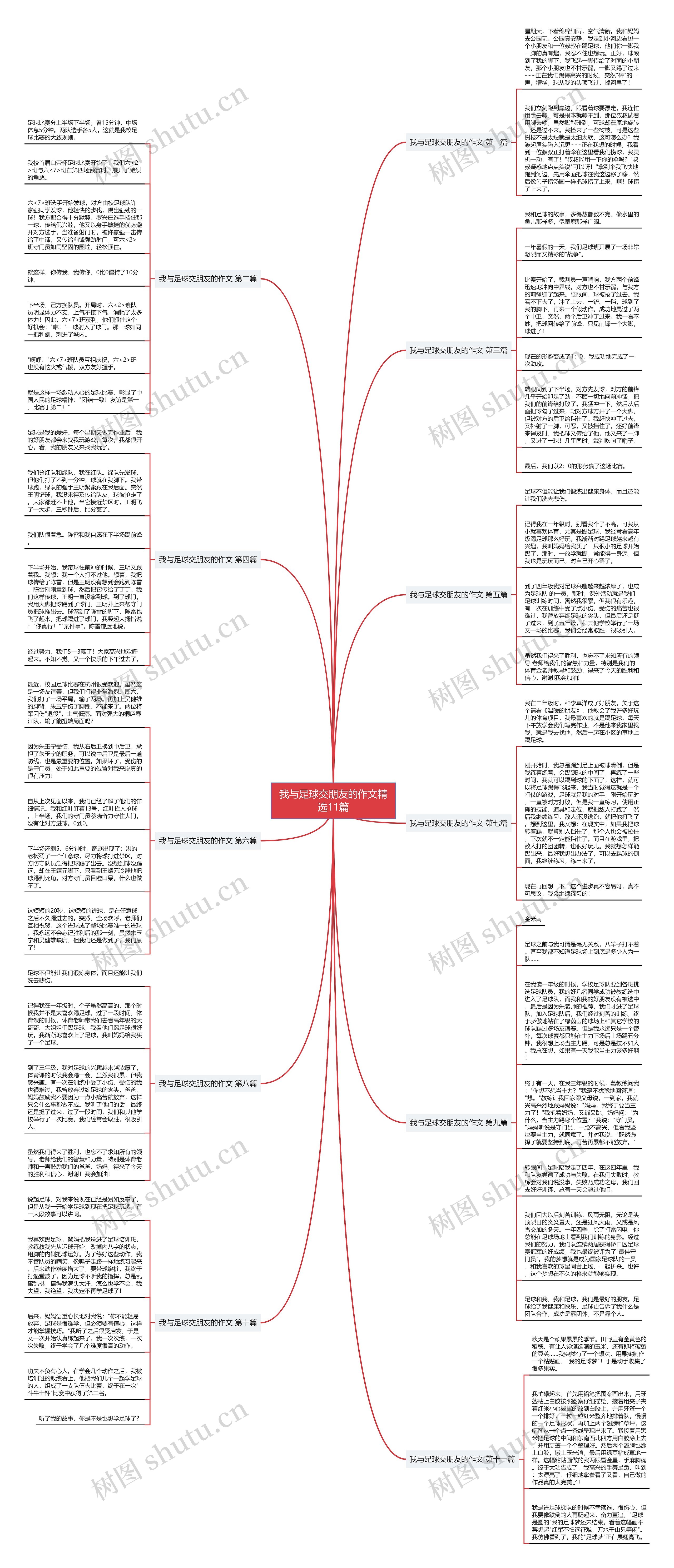 我与足球交朋友的作文精选11篇