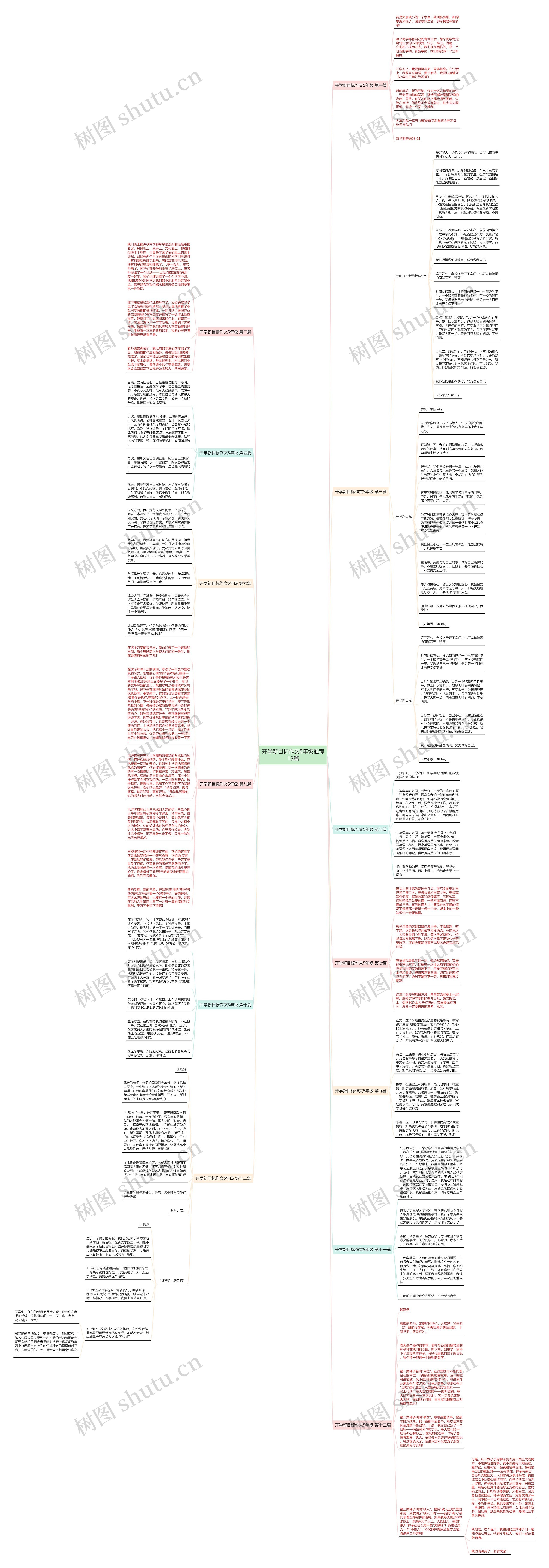 开学新目标作文5年级推荐13篇思维导图