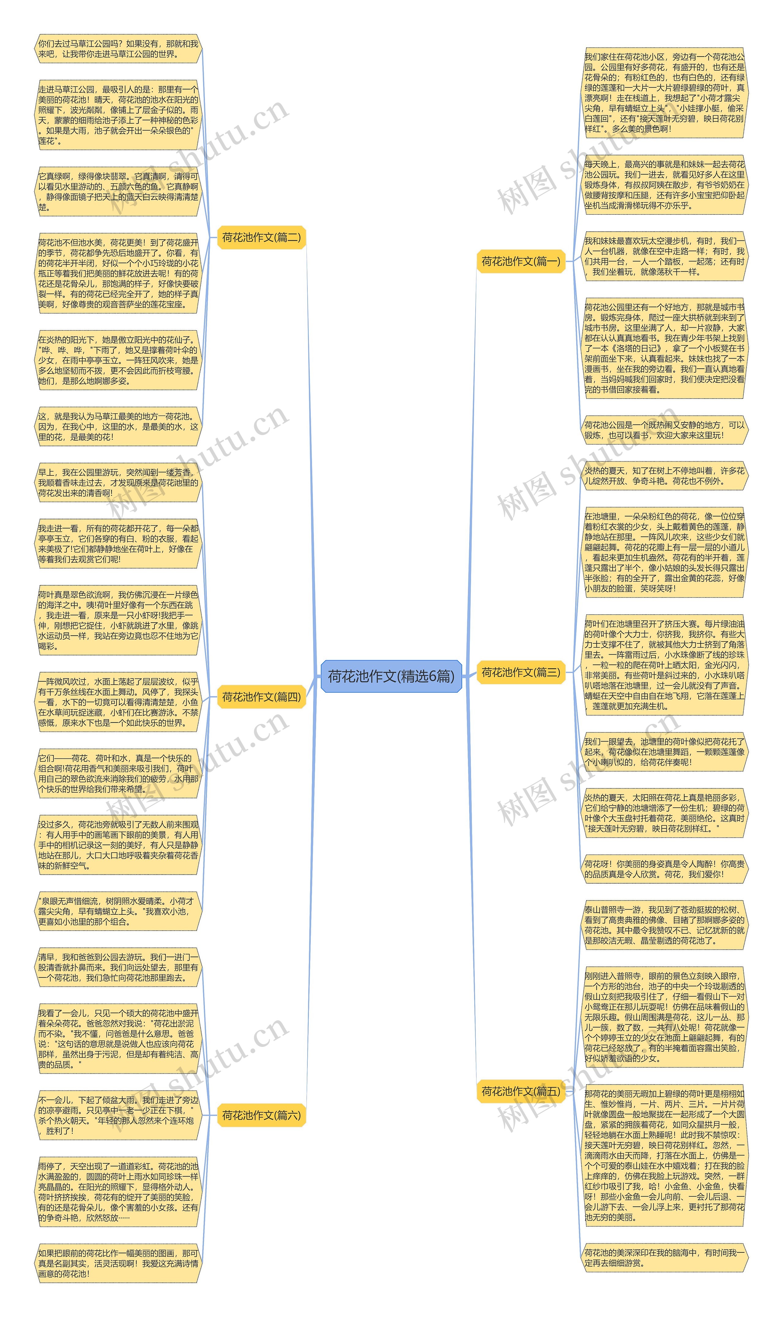 荷花池作文(精选6篇)思维导图