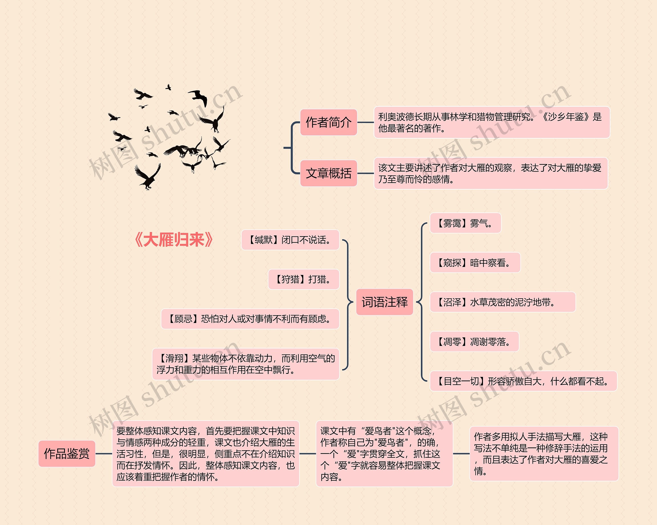 《大雁归来》思维导图